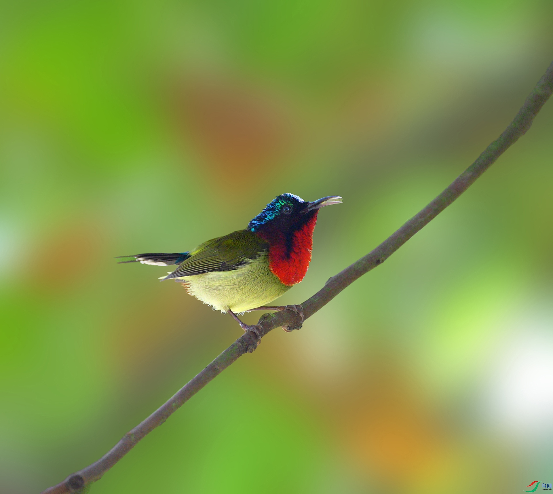 DSC04926 ���� 2- ����.jpg