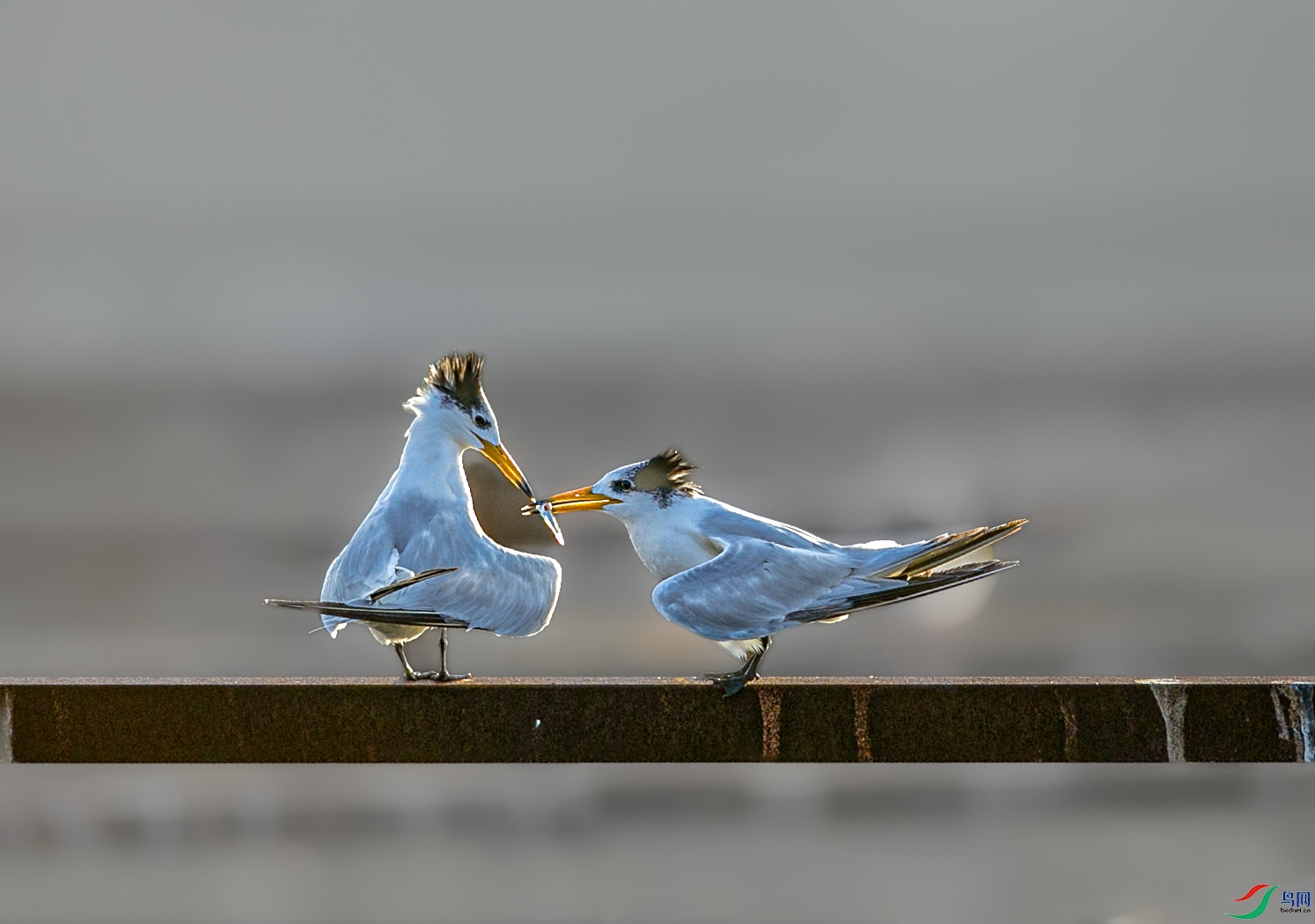 673A0598 ����.jpg