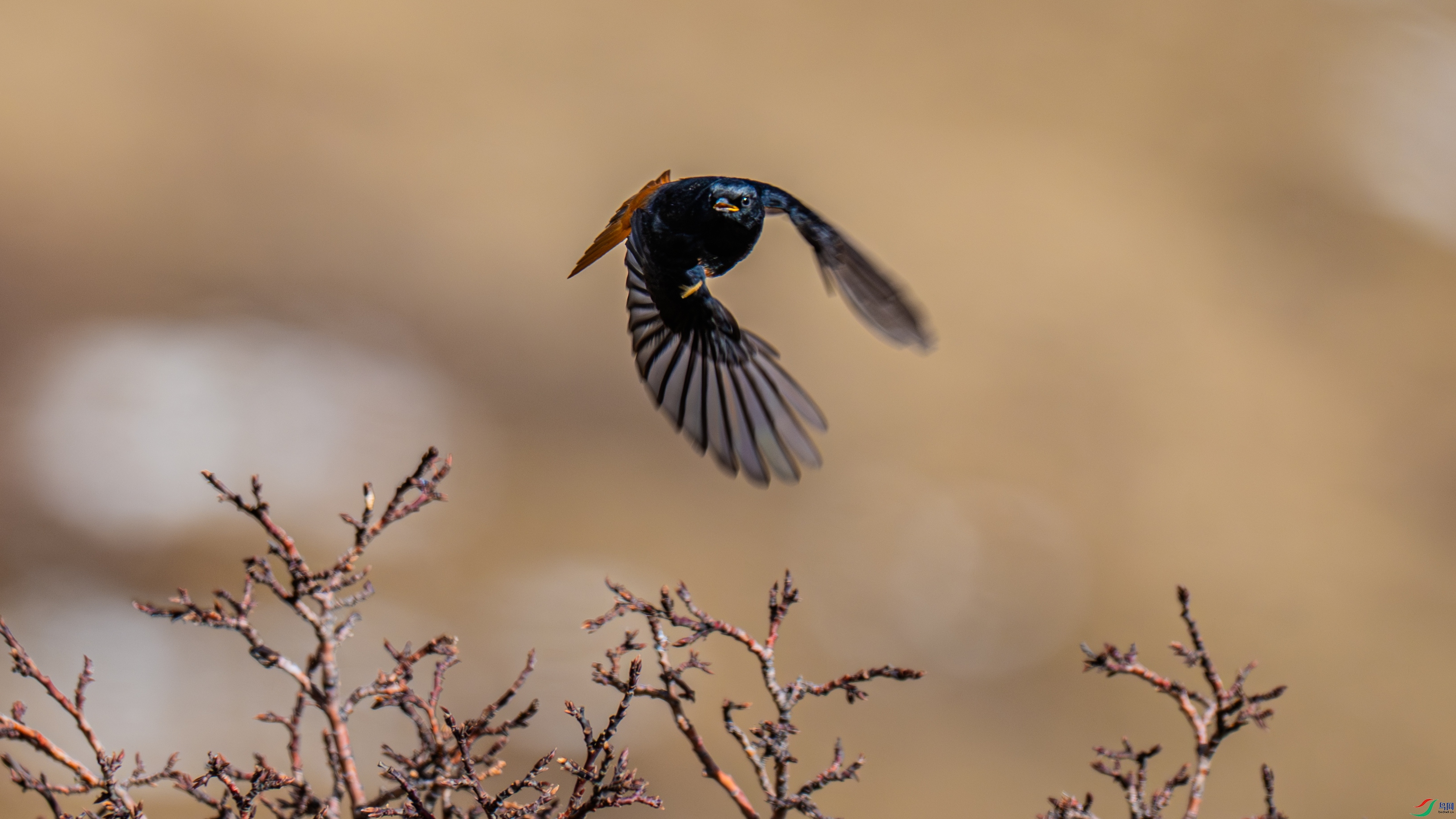 _DSC5542-1.jpg
