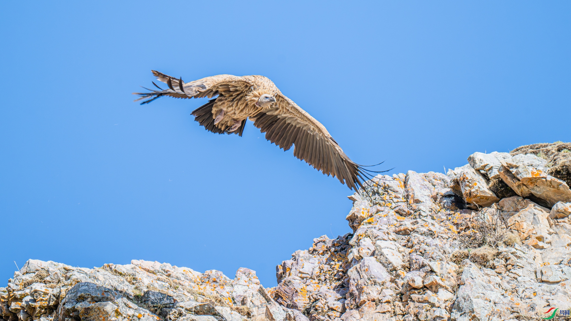 _DSC5392-1_����.jpg