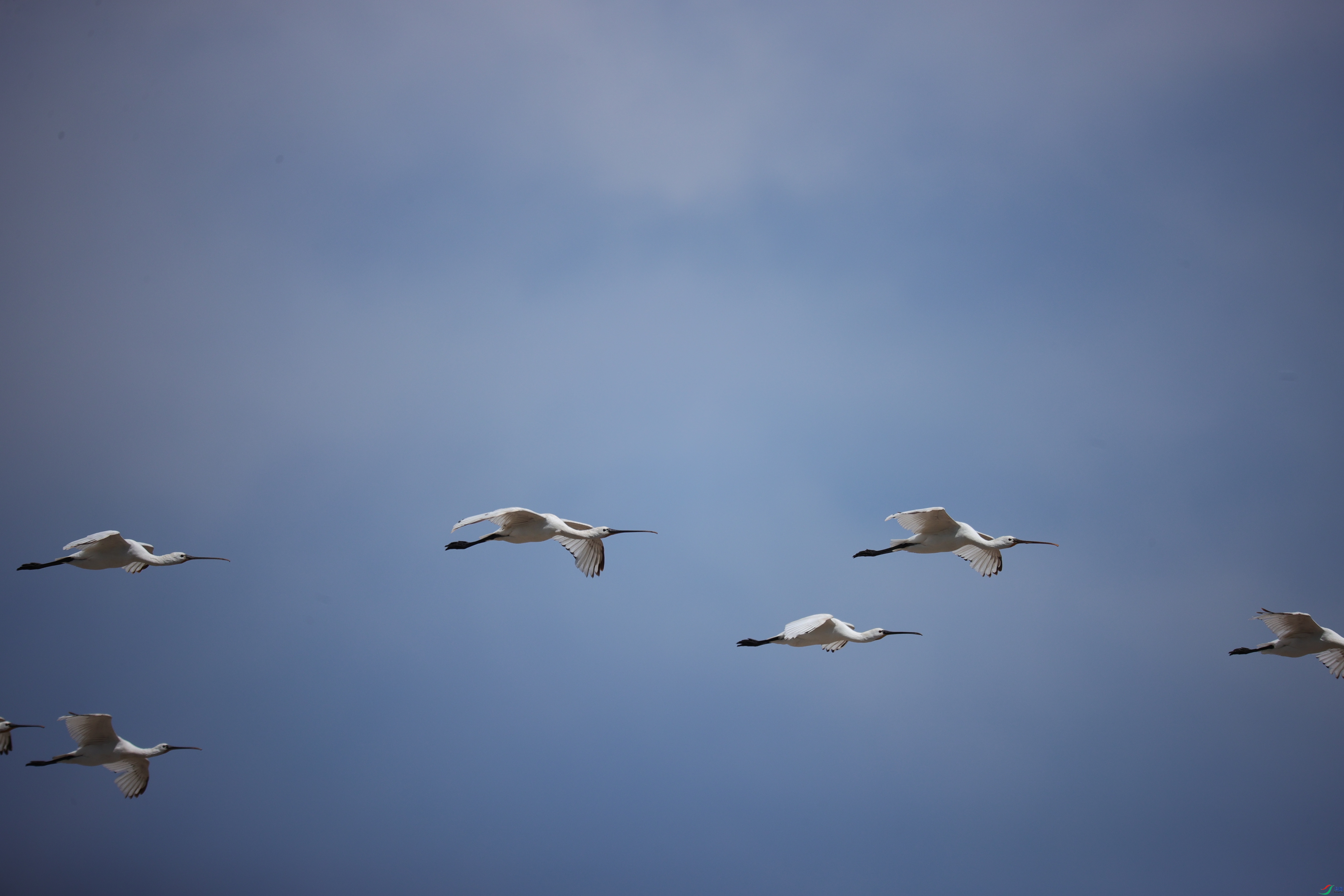 ������20