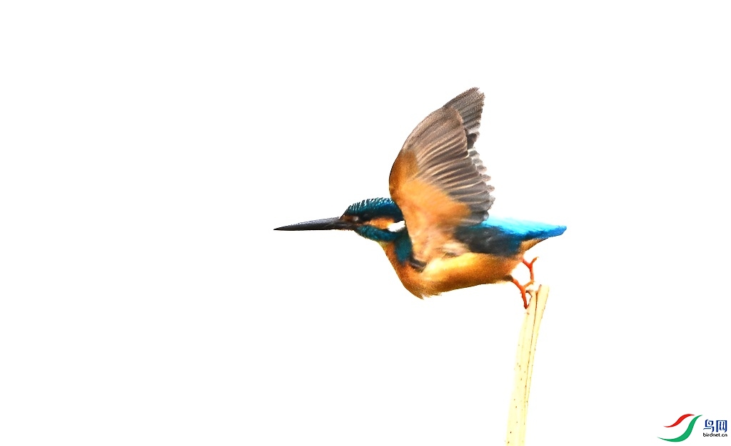 DSC_9150.JPG