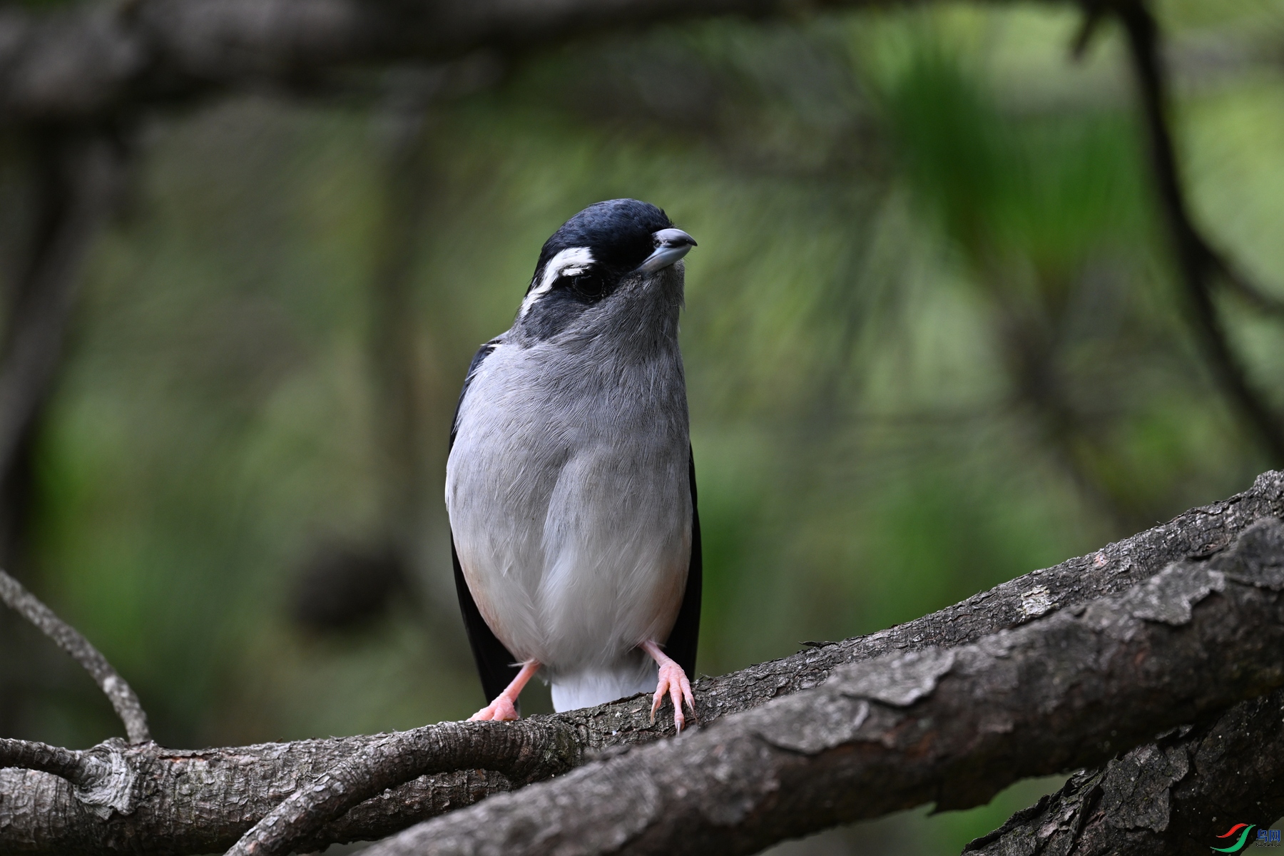 DSC_1096.JPG
