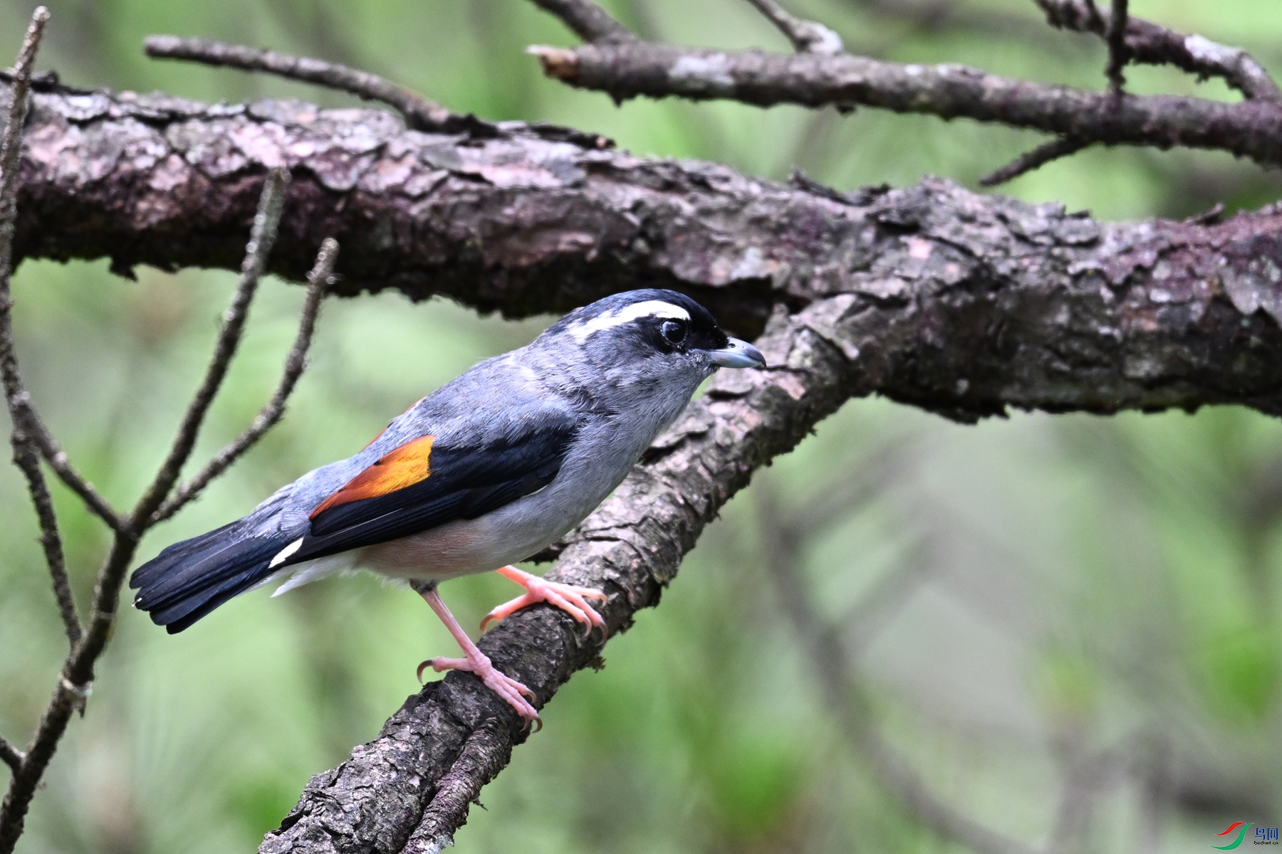 DSC_1024.JPG