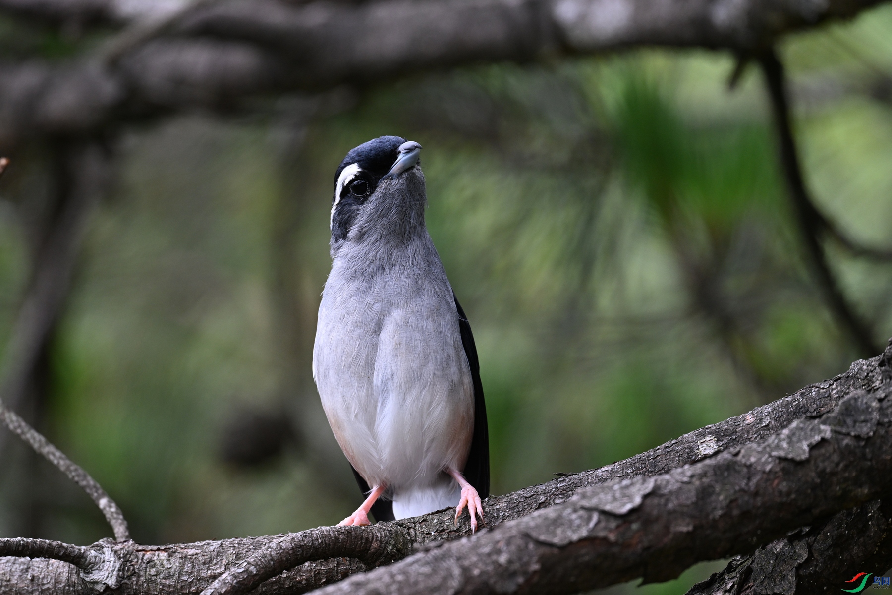 DSC_1086.JPG