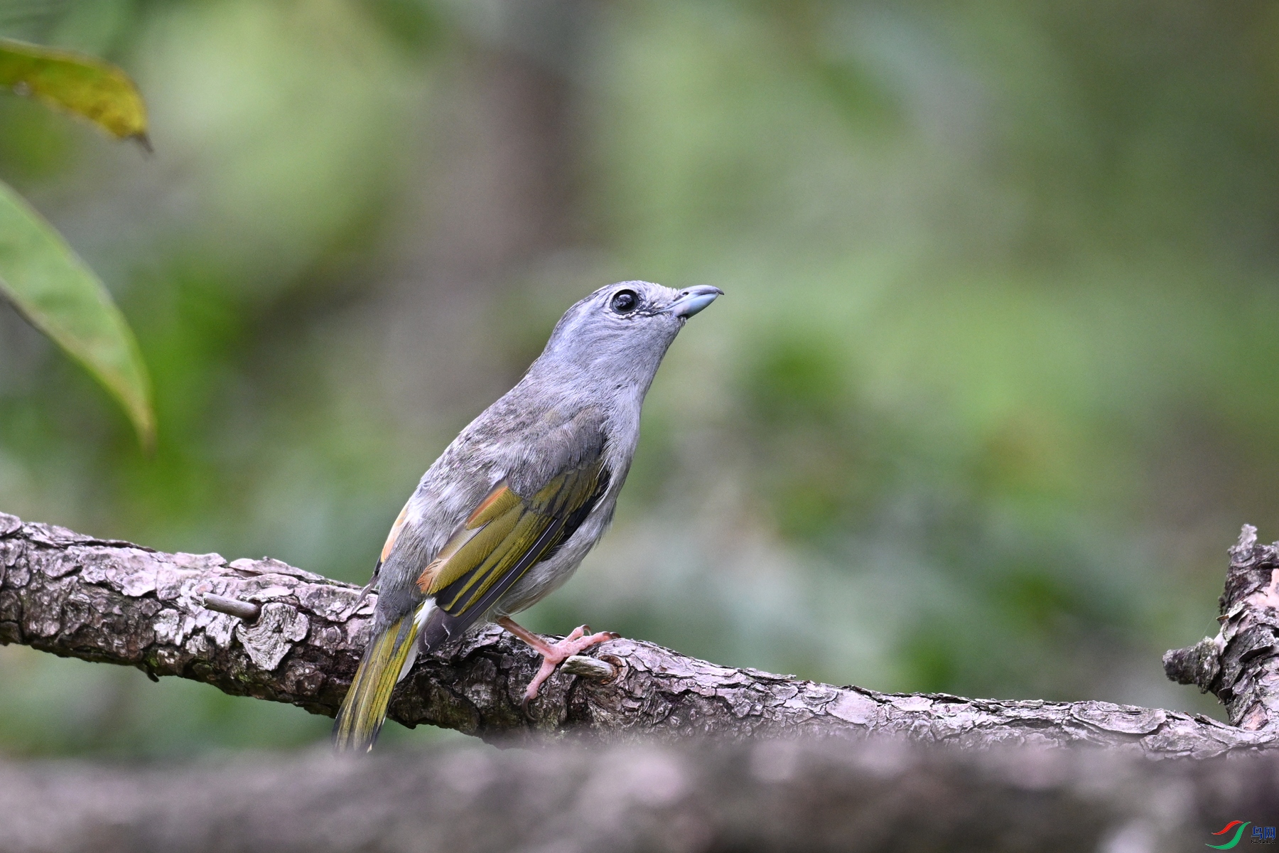 DSC_1057.JPG