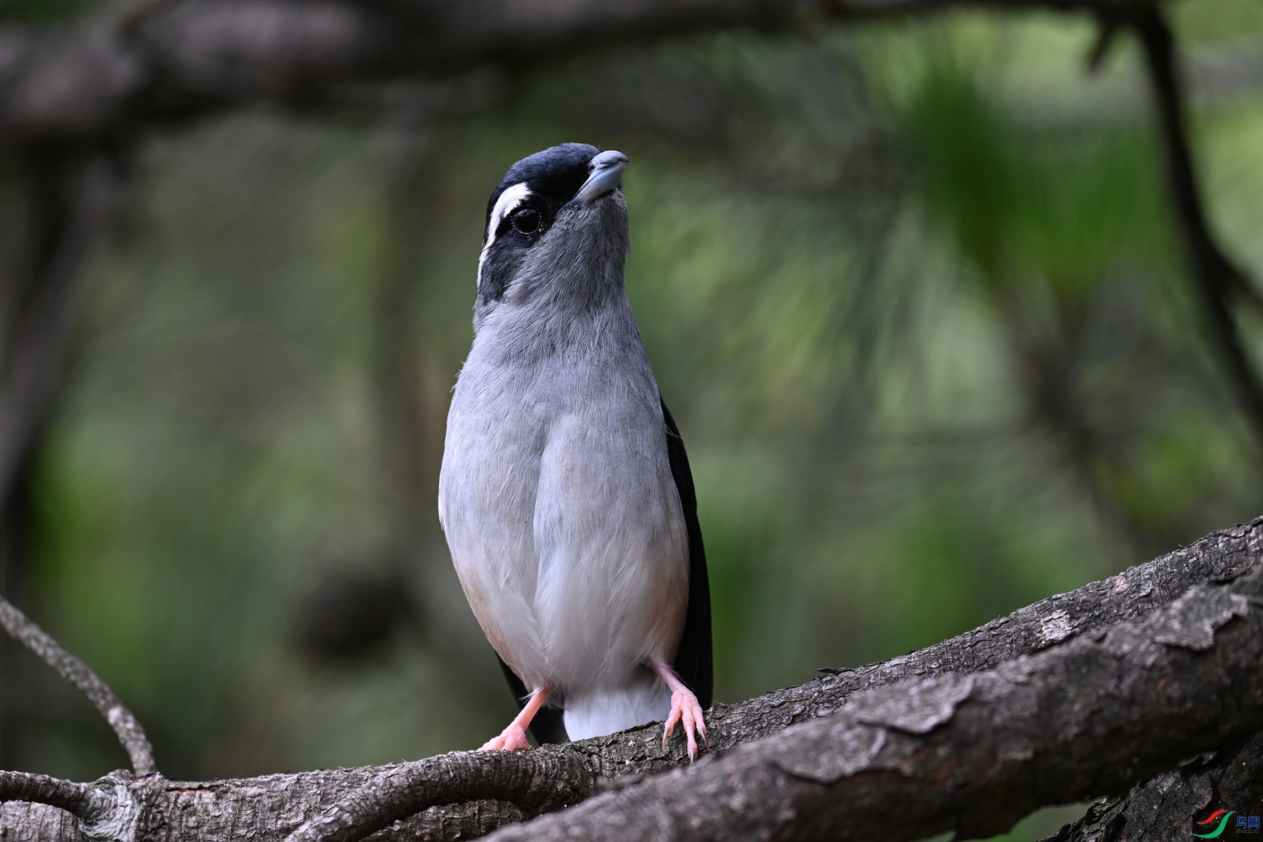 DSC_1089.JPG