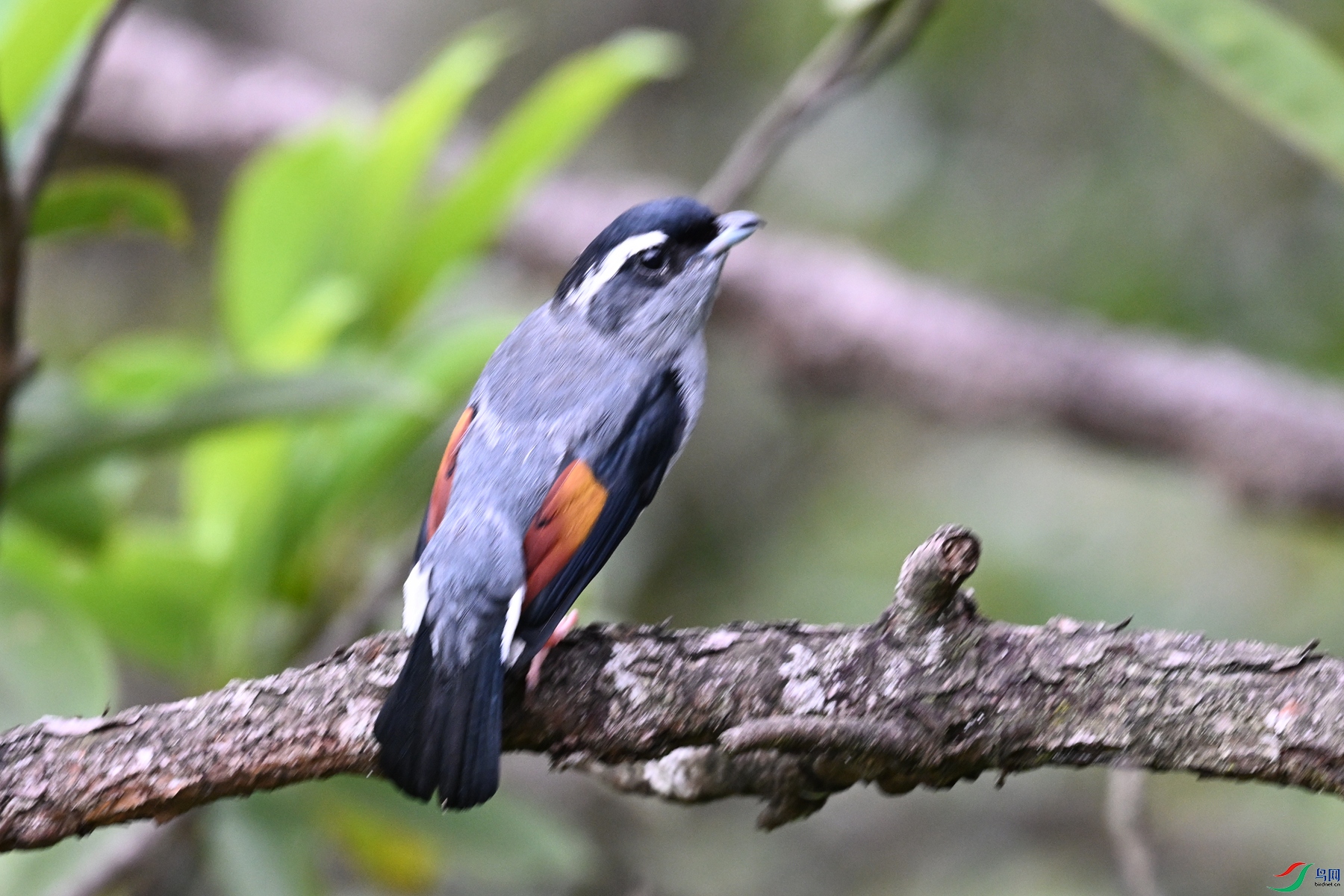 DSC_1035.JPG