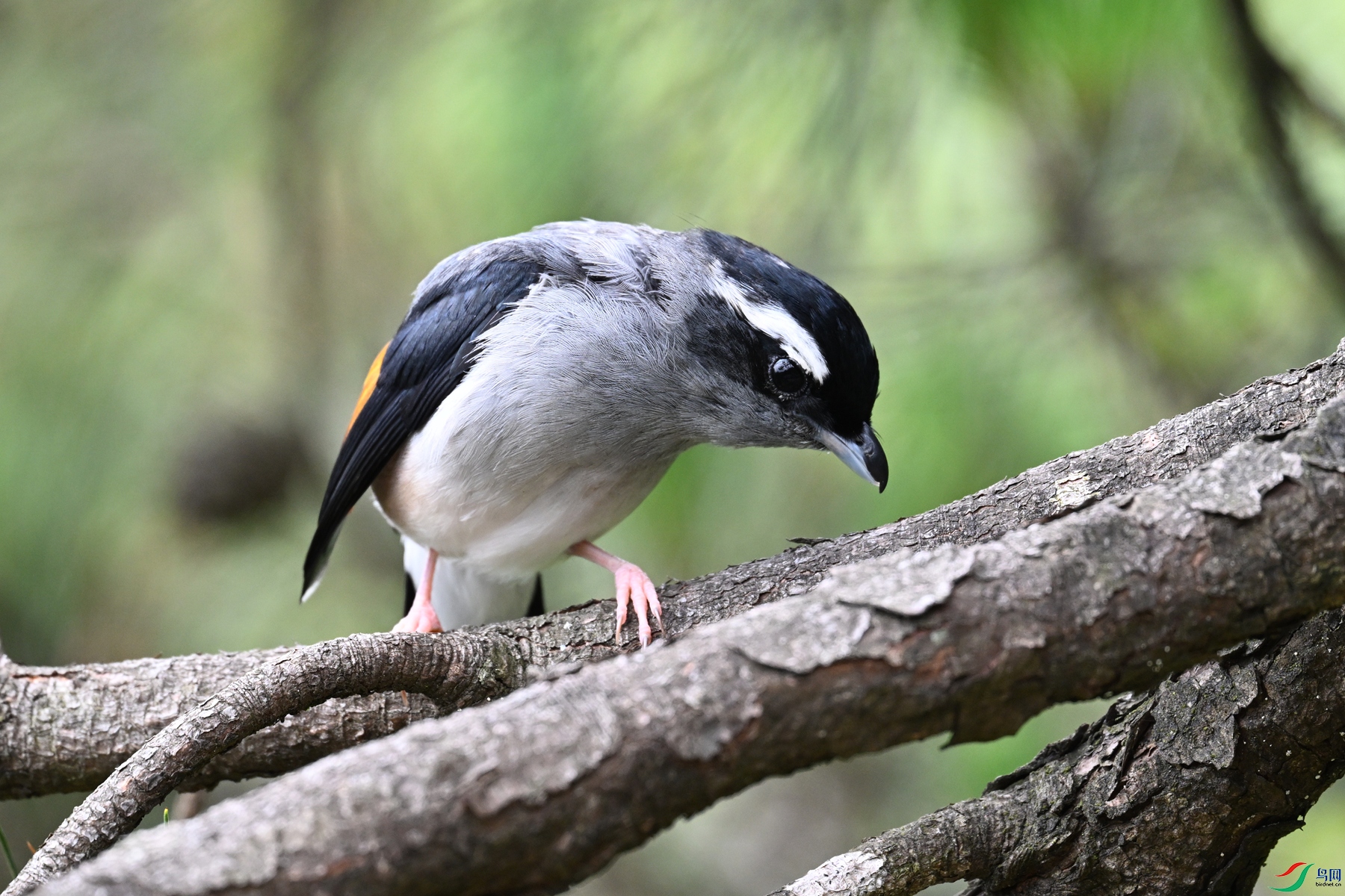 DSC_1102.JPG