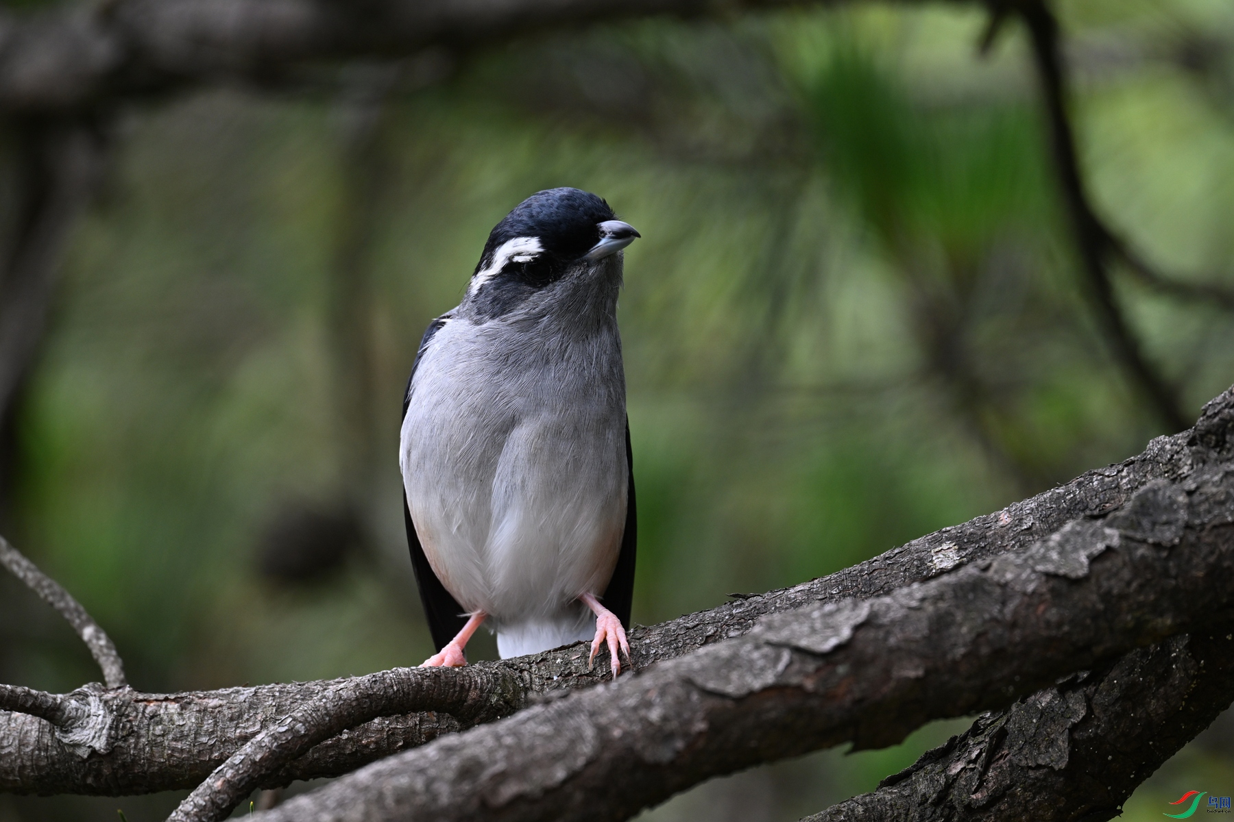 DSC_1097.JPG
