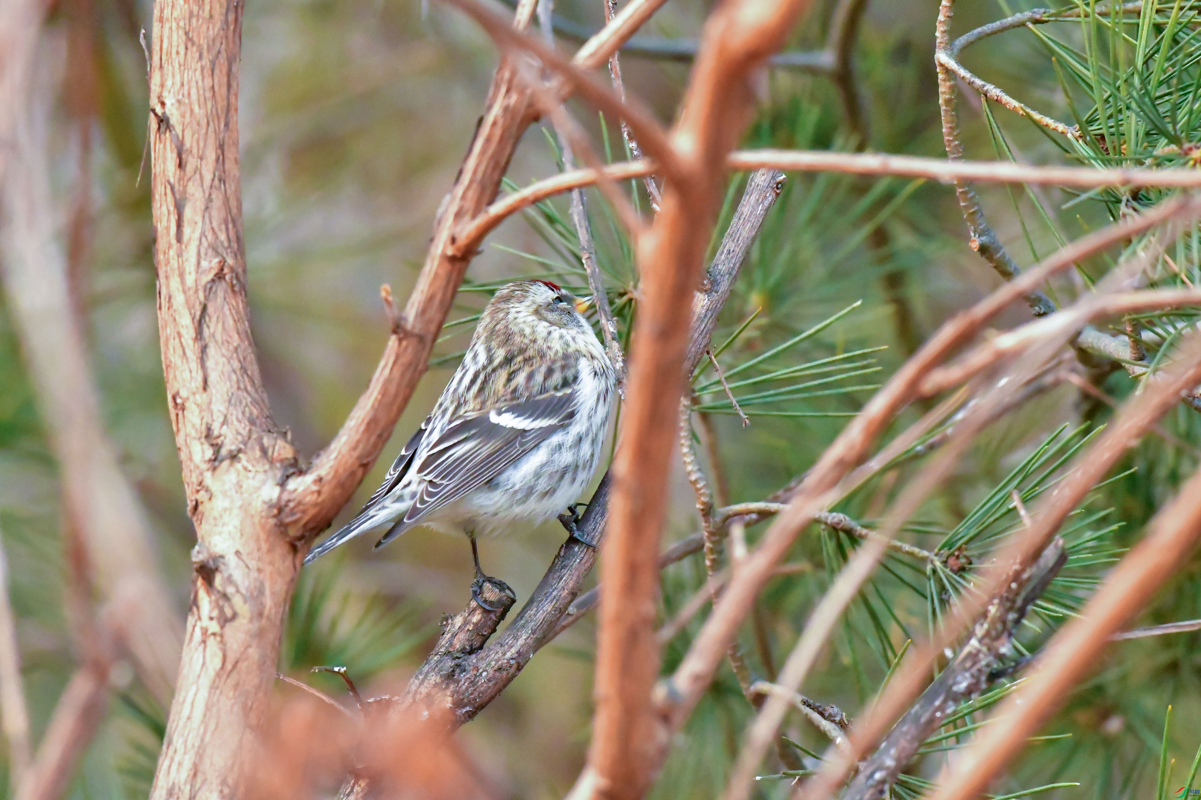 DSC_9201_2.jpg