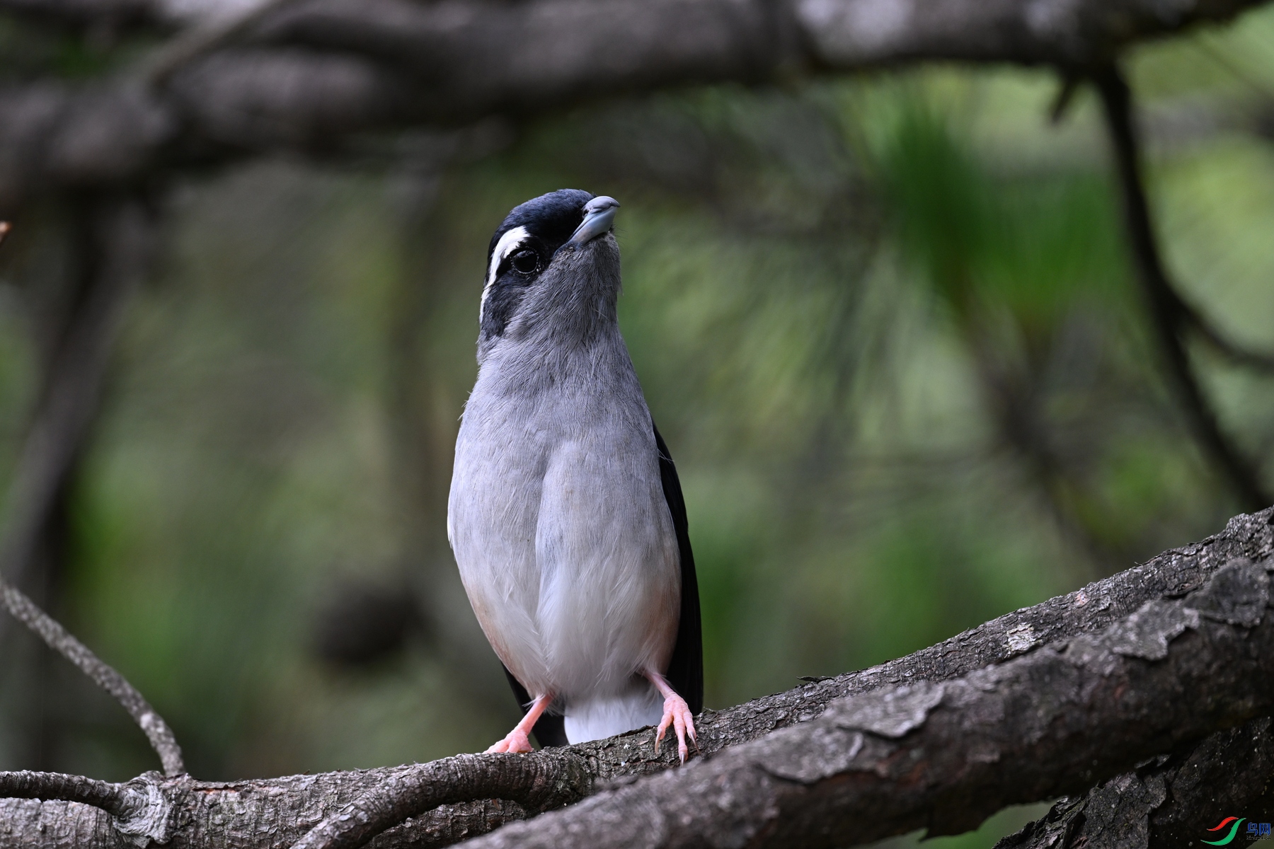 DSC_1088.JPG