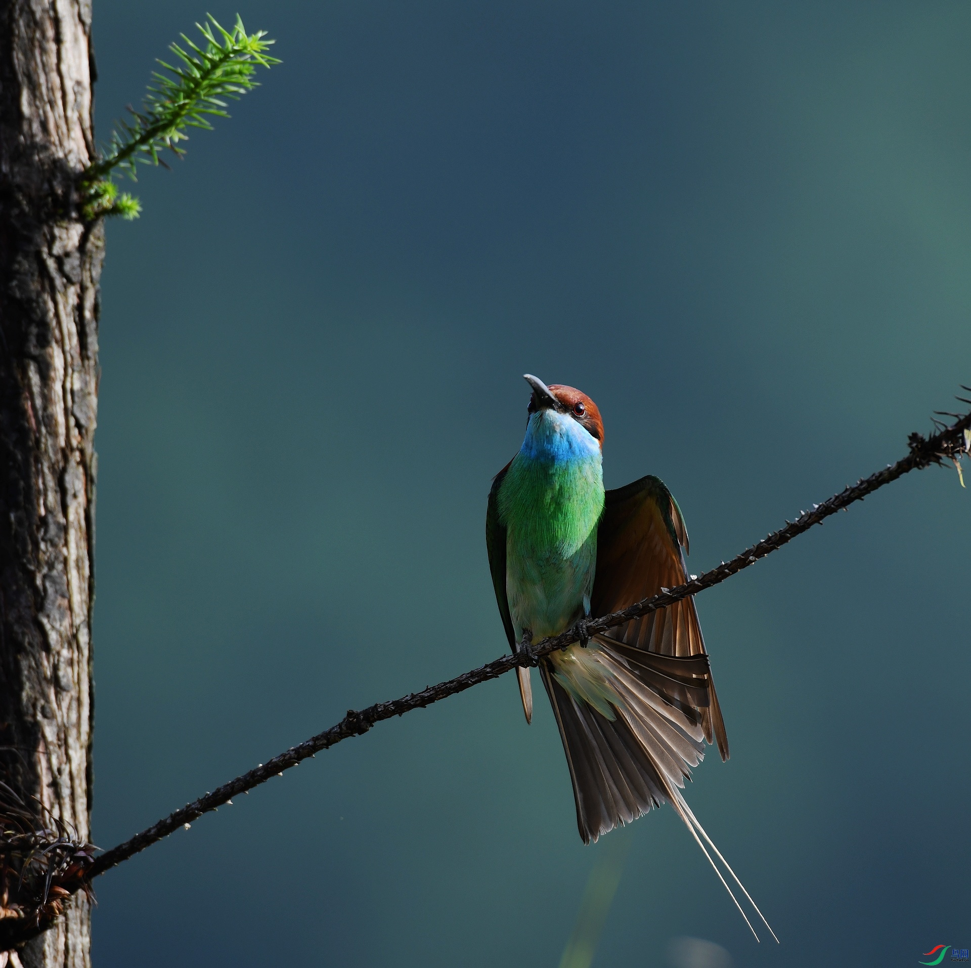 DSC_9466.jpg