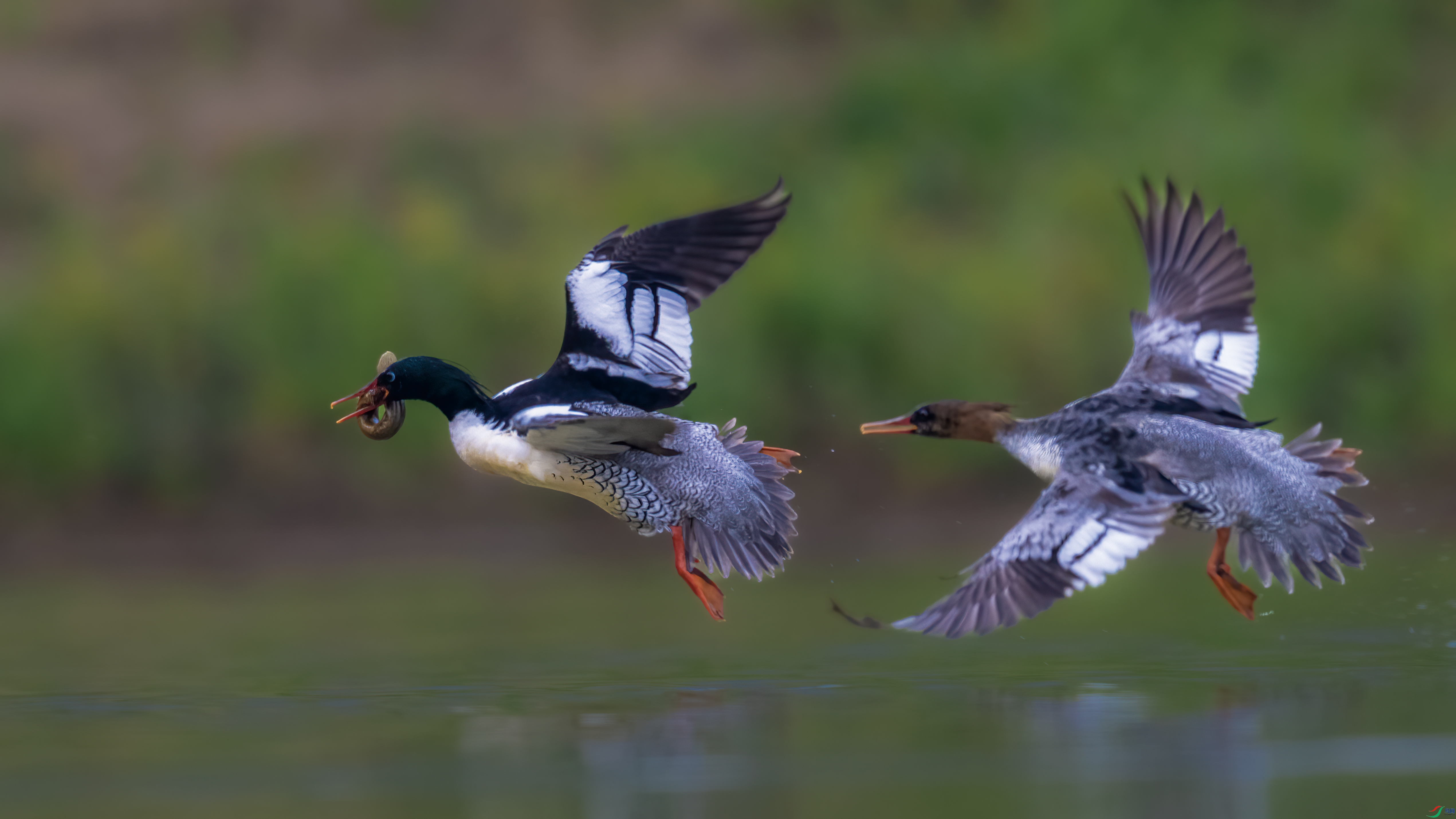 ����׷��