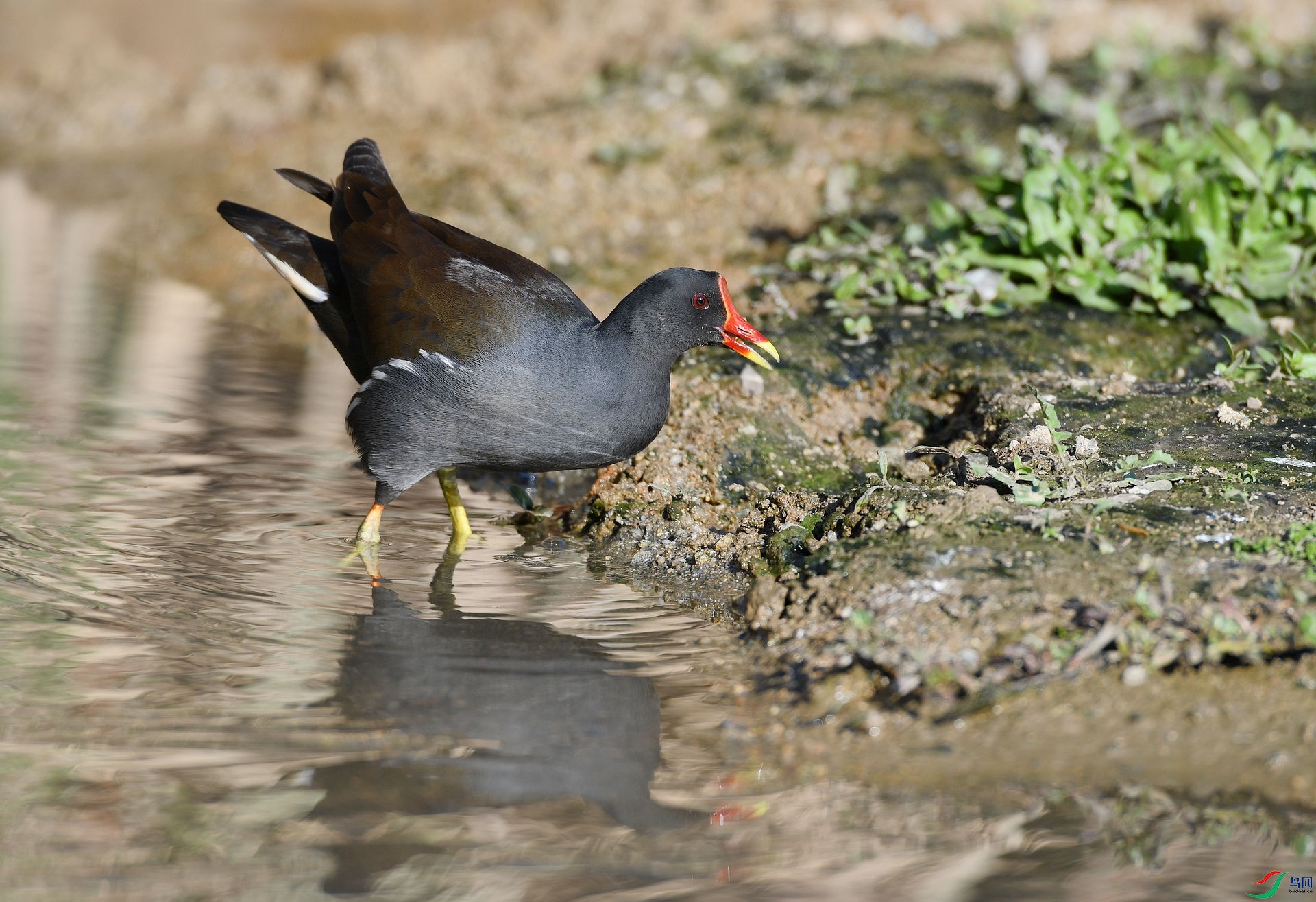 DSC_5044.jpg