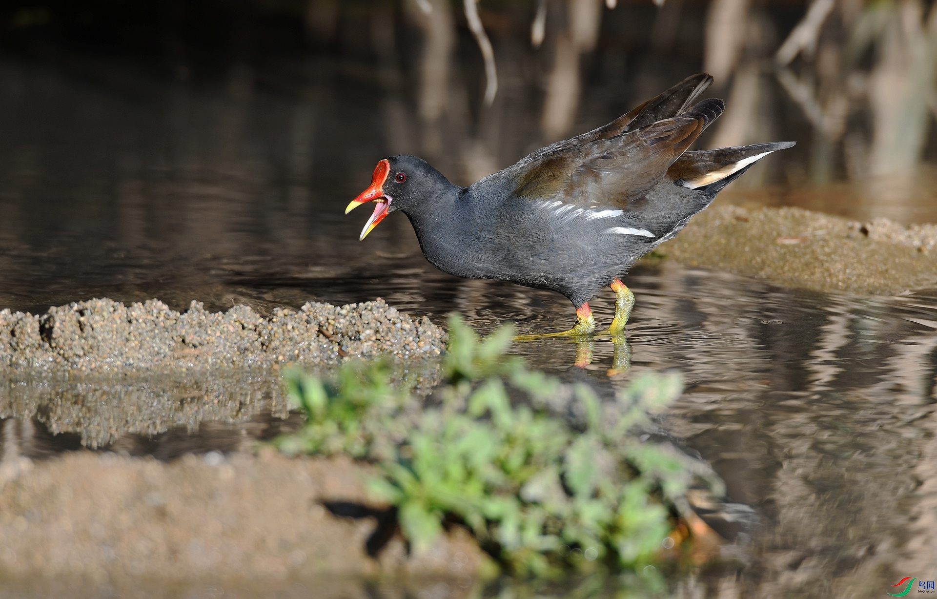 DSC_5054.jpg