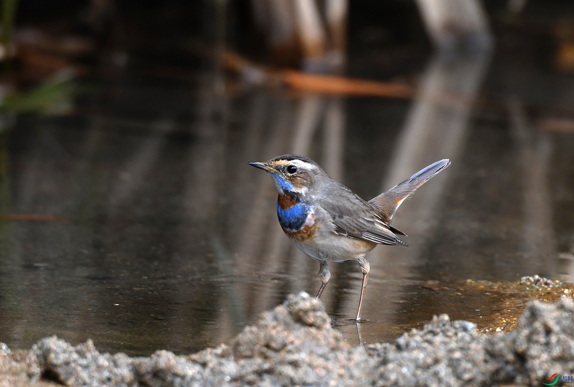 DSC_3068.jpg
