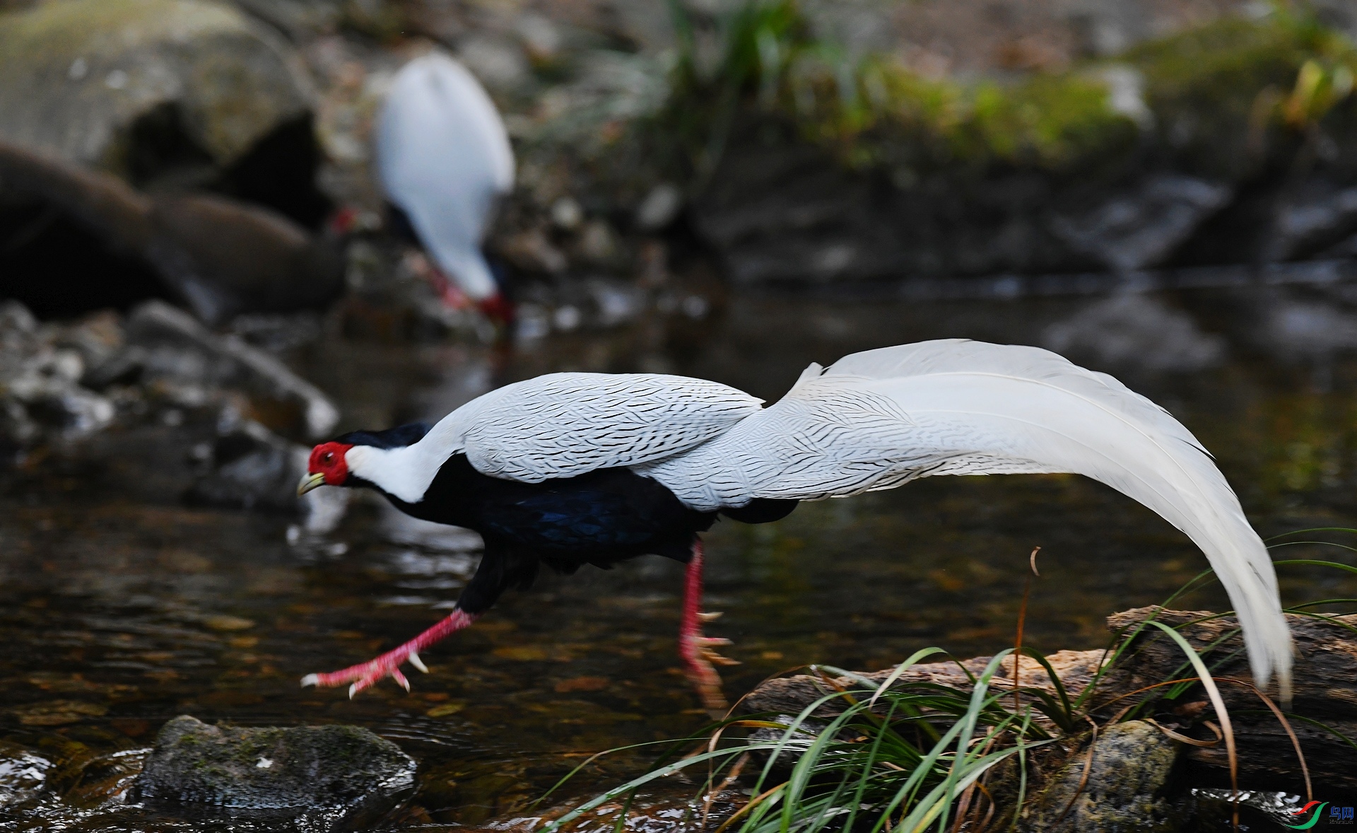 DSC_5630.jpg