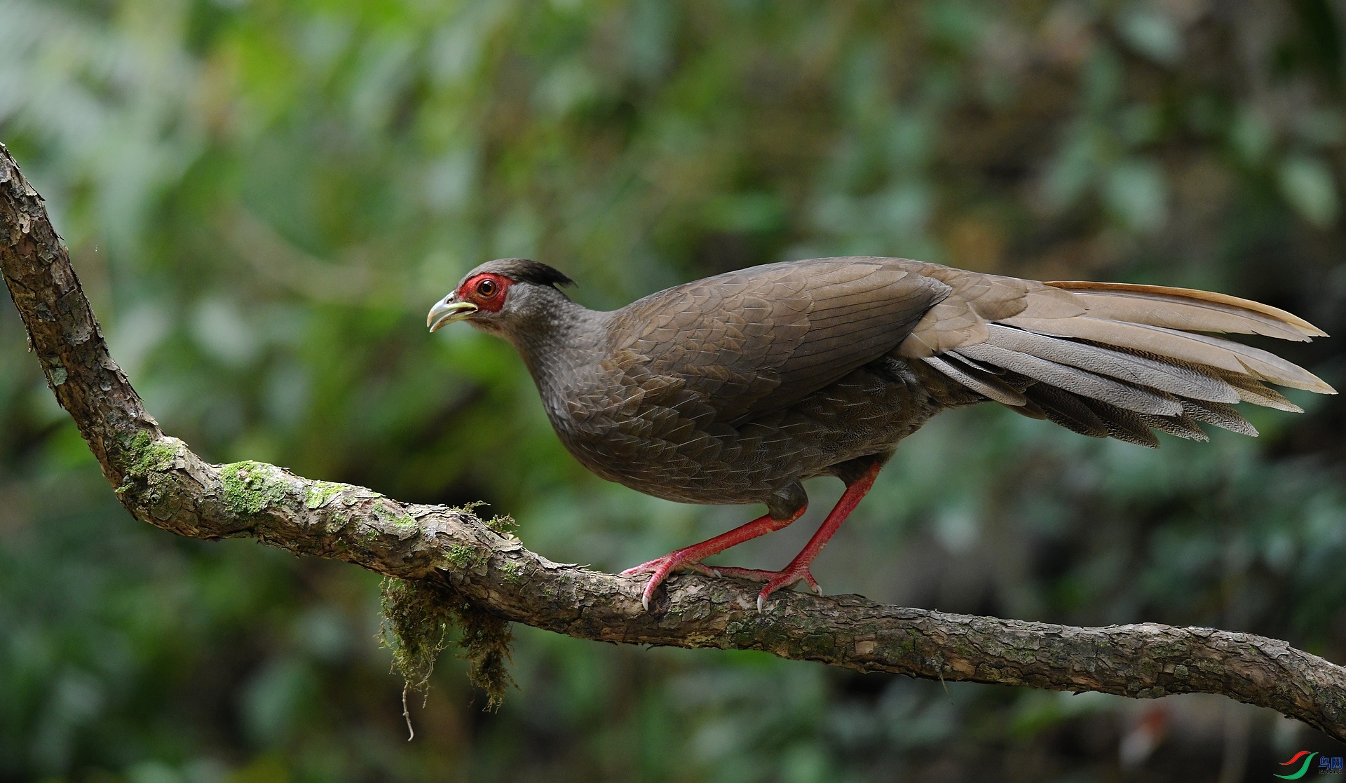 DSC_5621.jpg