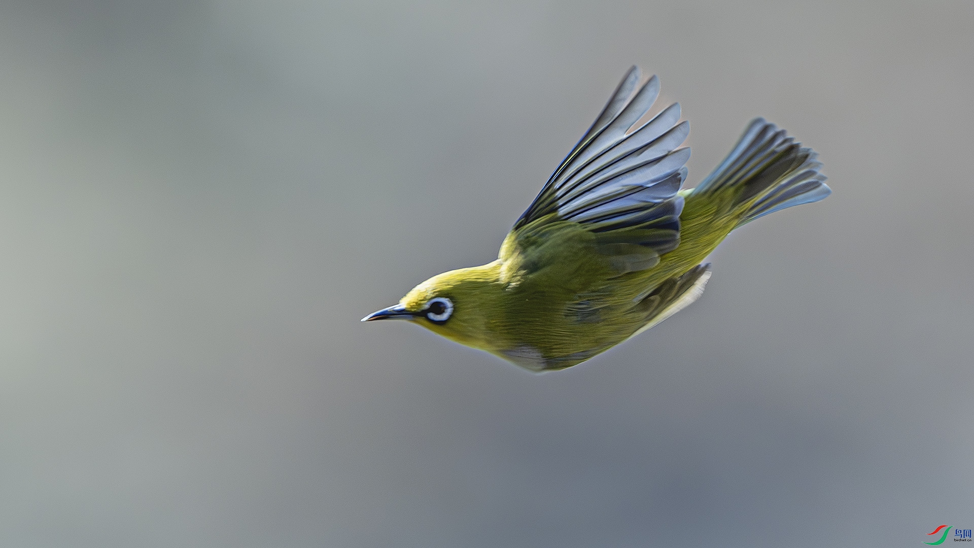 DSC_6349-����ǿ-NR ����.jpg