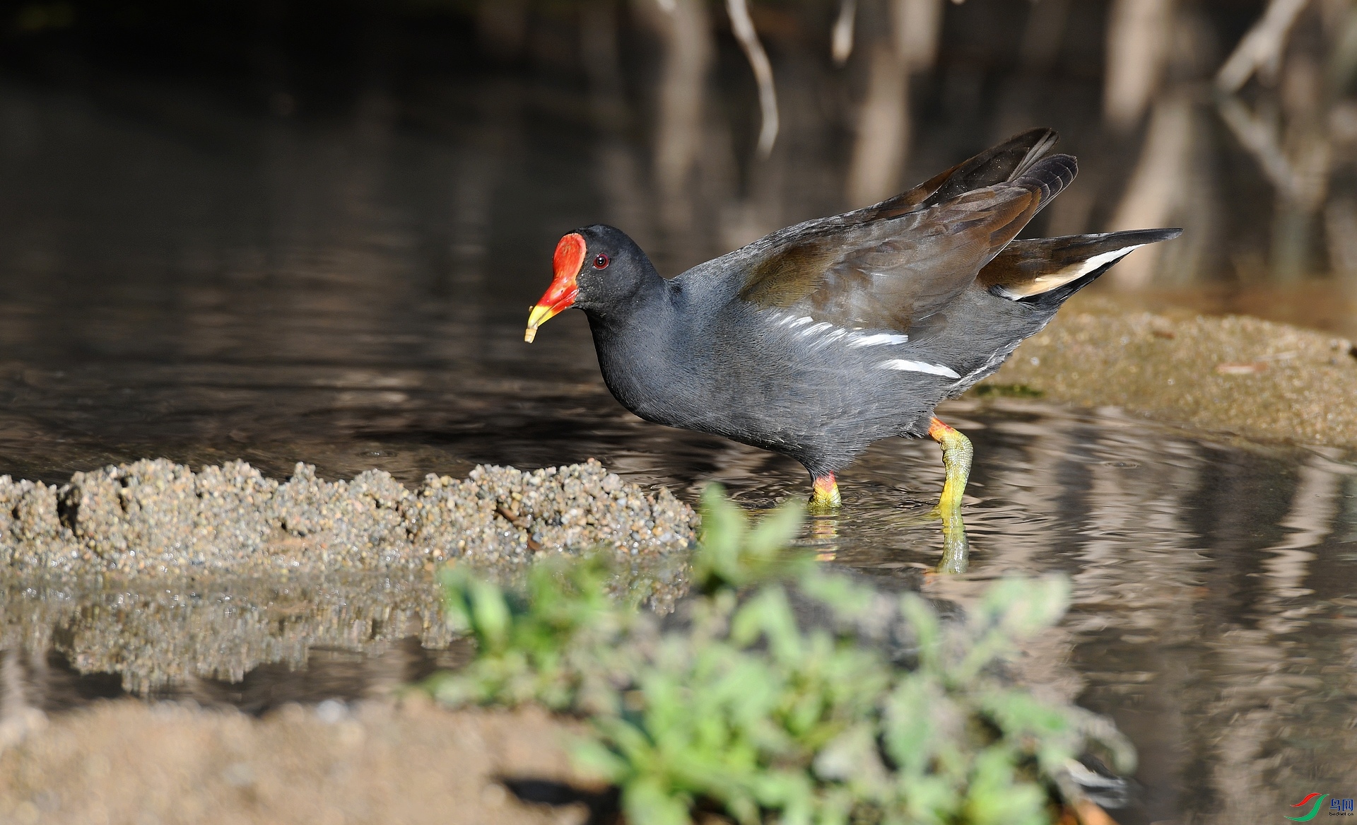 DSC_5056.jpg
