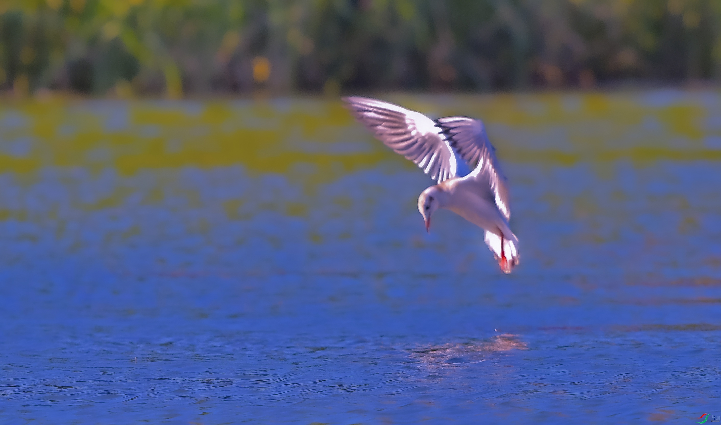 DSC_5163.JPG