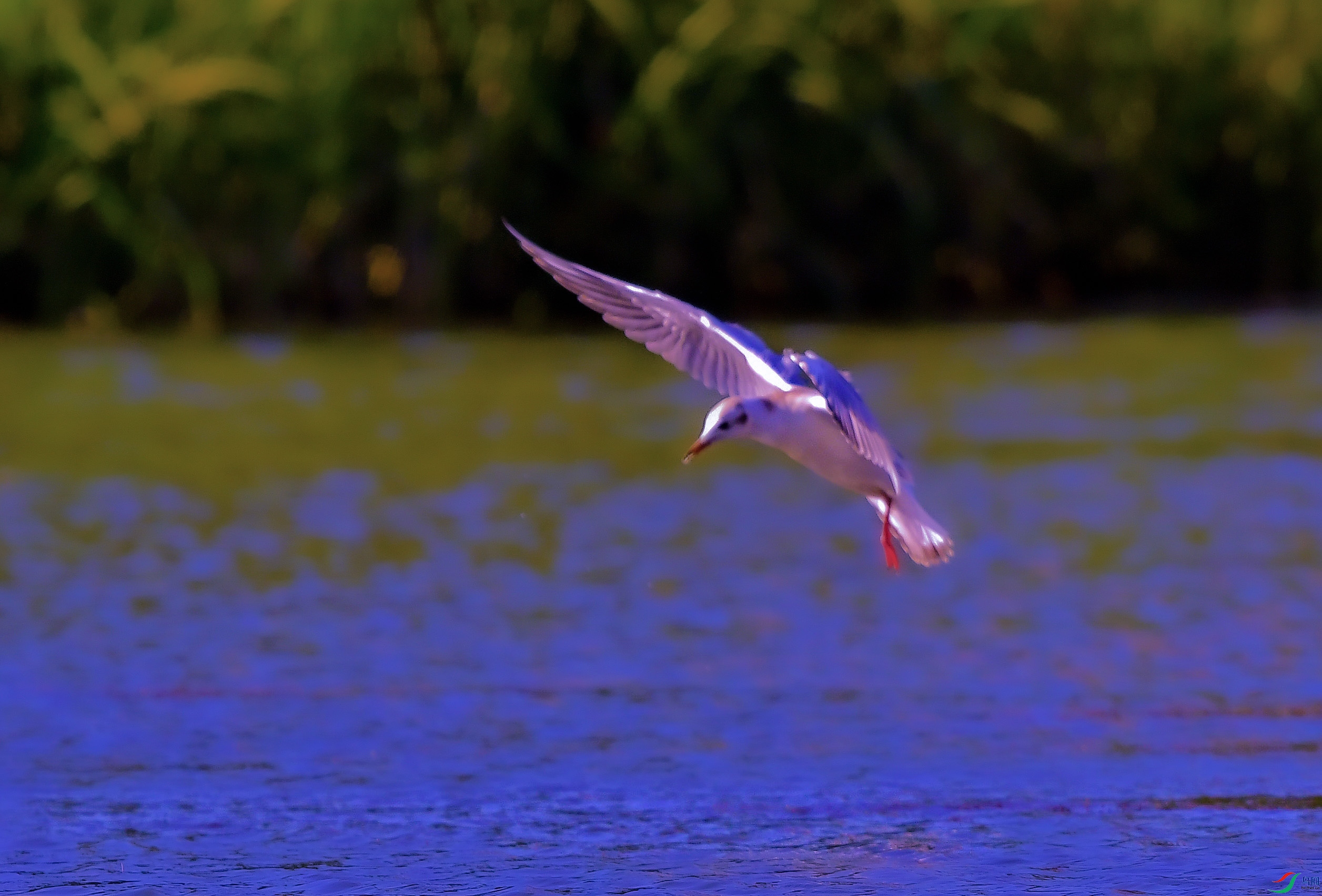 DSC_5164.JPG