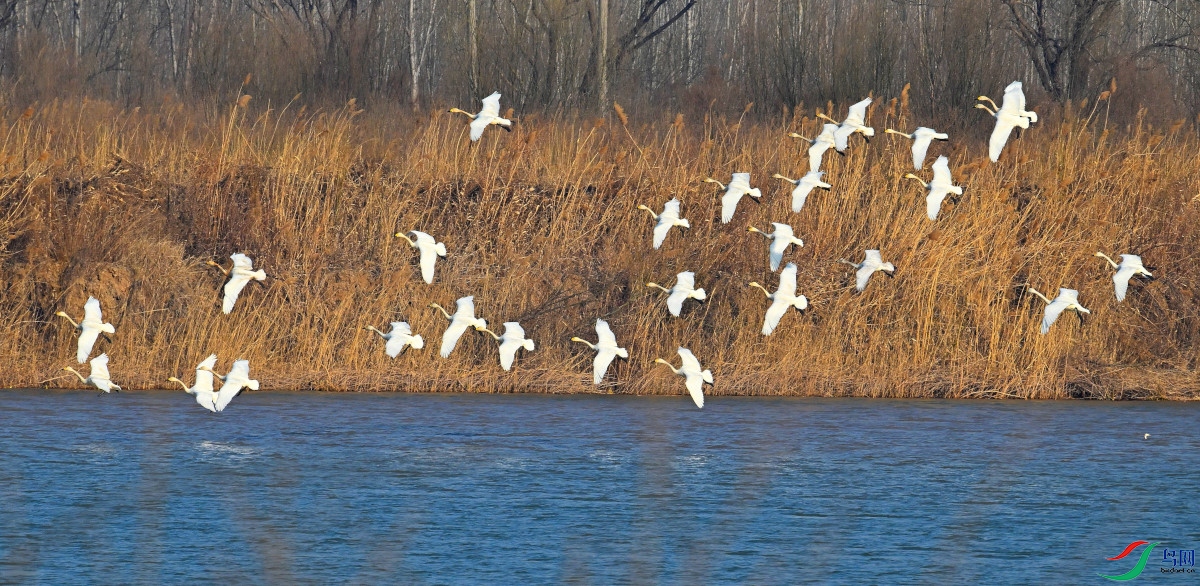 DSC_2904.JPG
