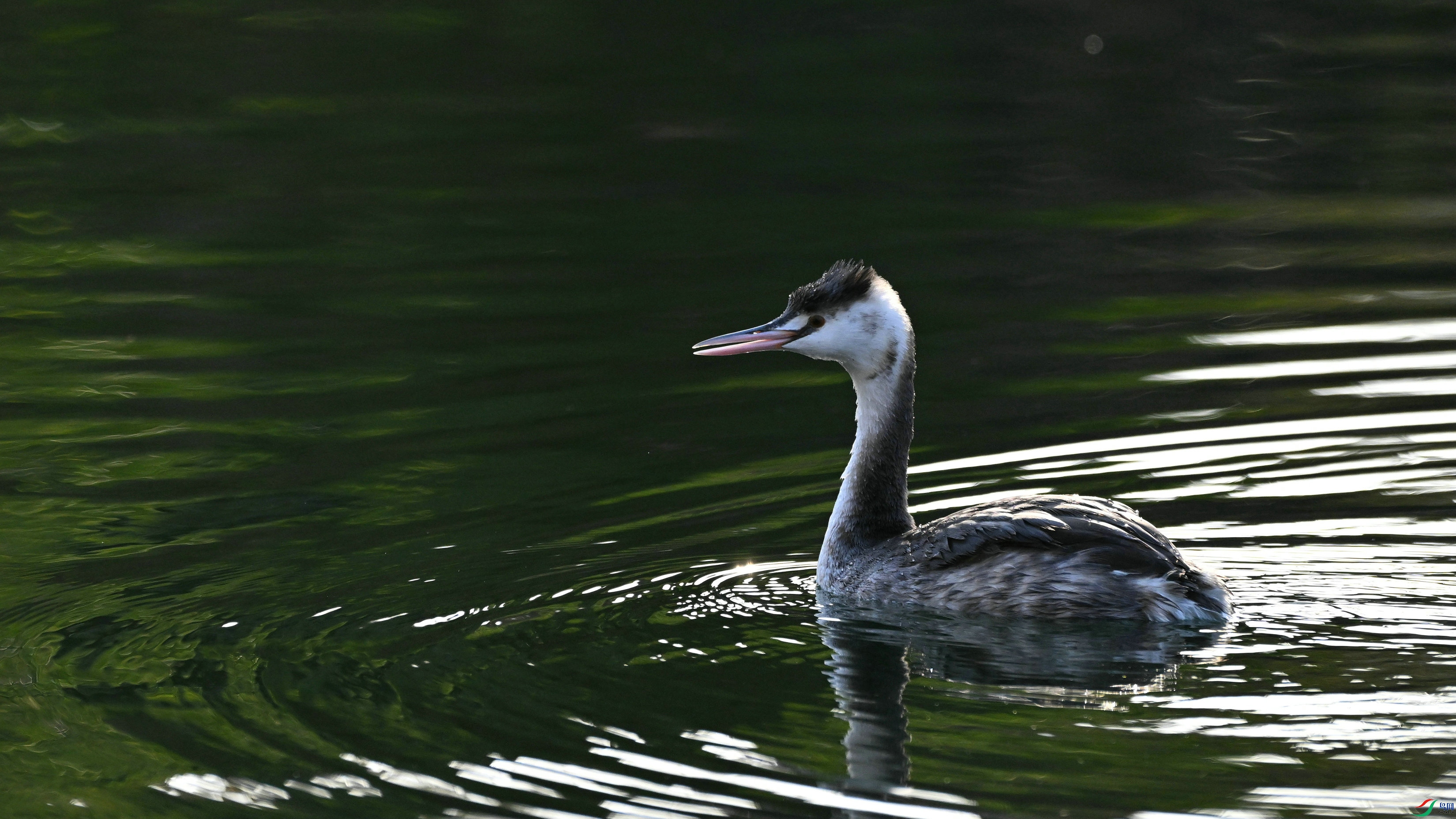 DSC_0286.JPG