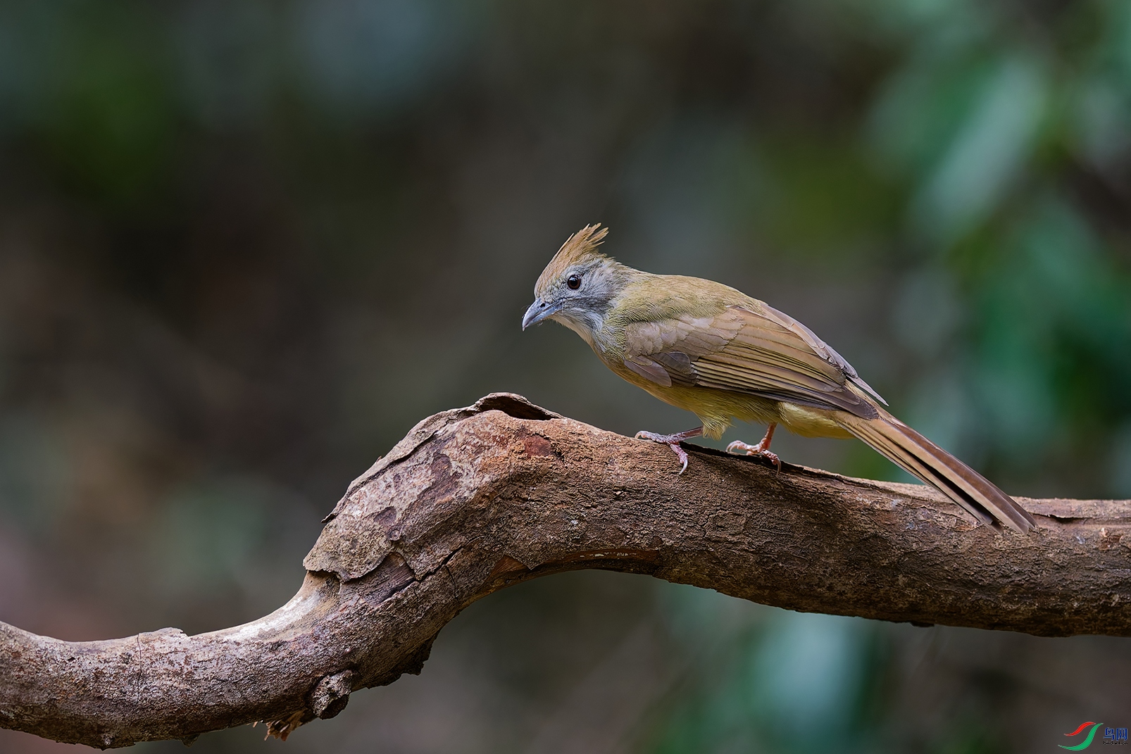 DSC_9584_DxO_DxOa.jpg