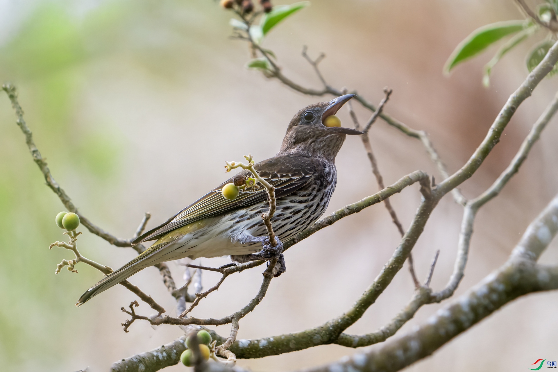 DSC_5982.jpg
