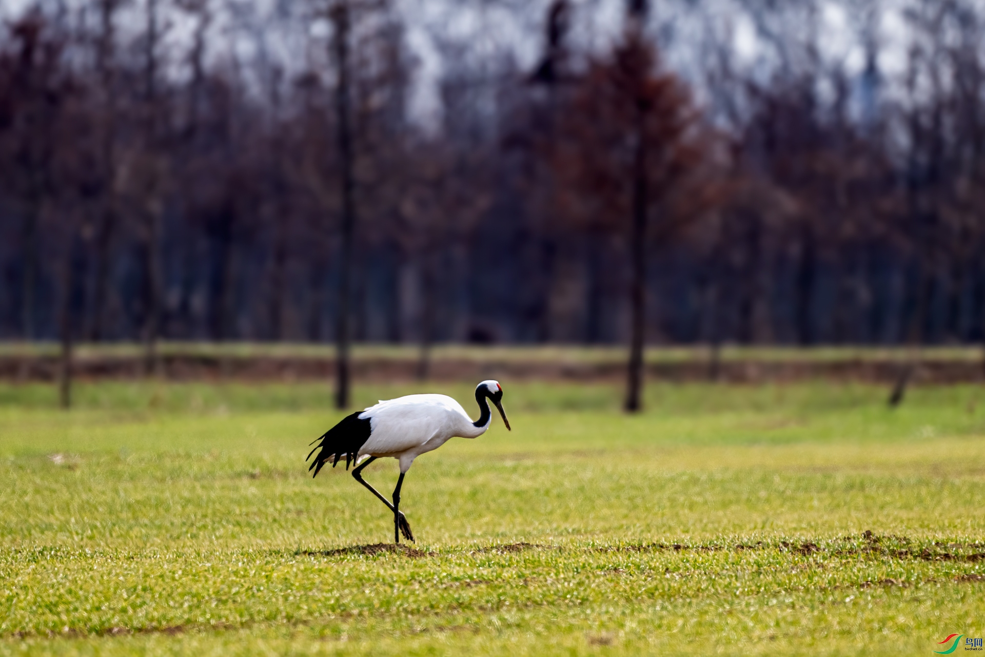 DSC_8664-11.jpg