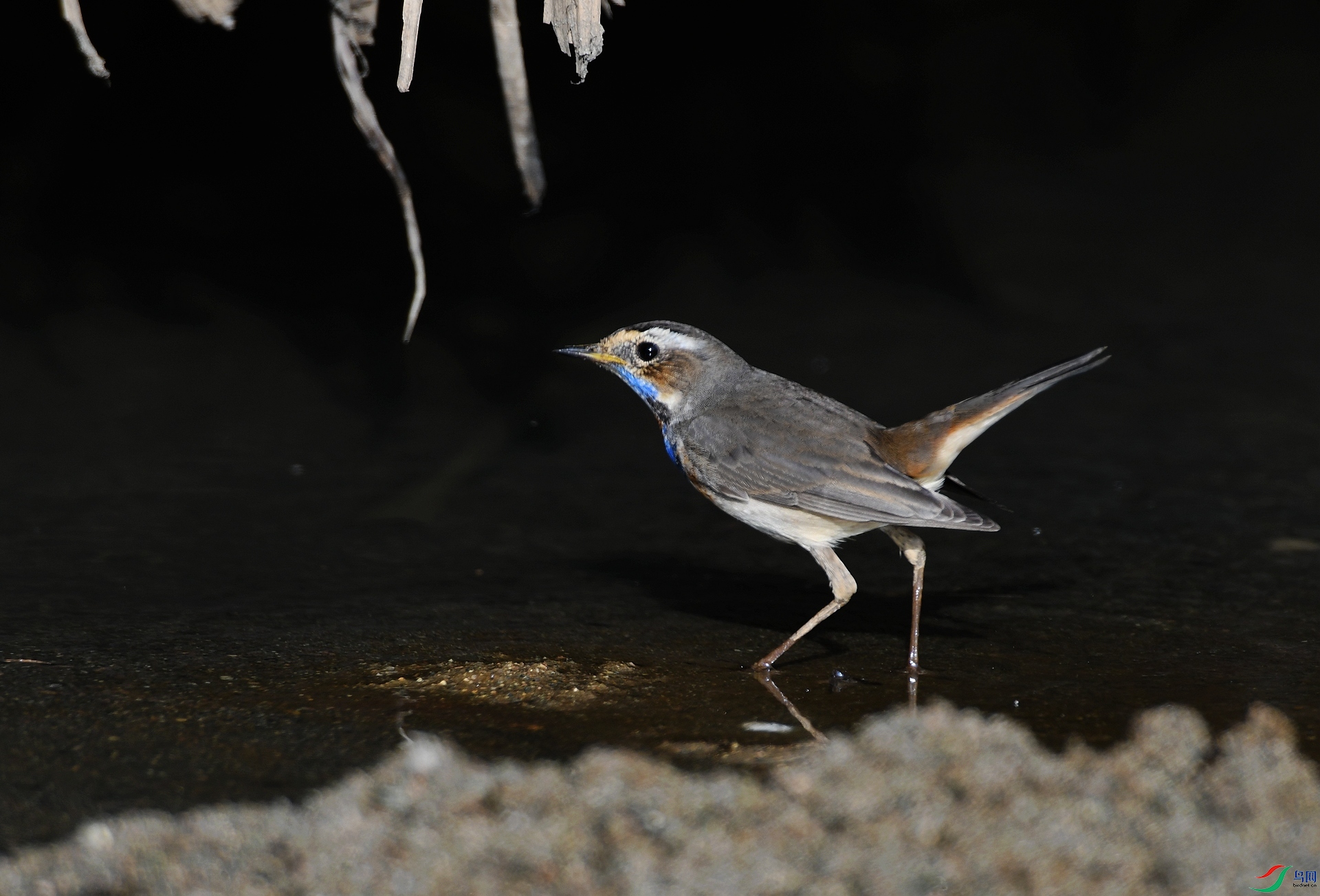 DSC_6143.jpg