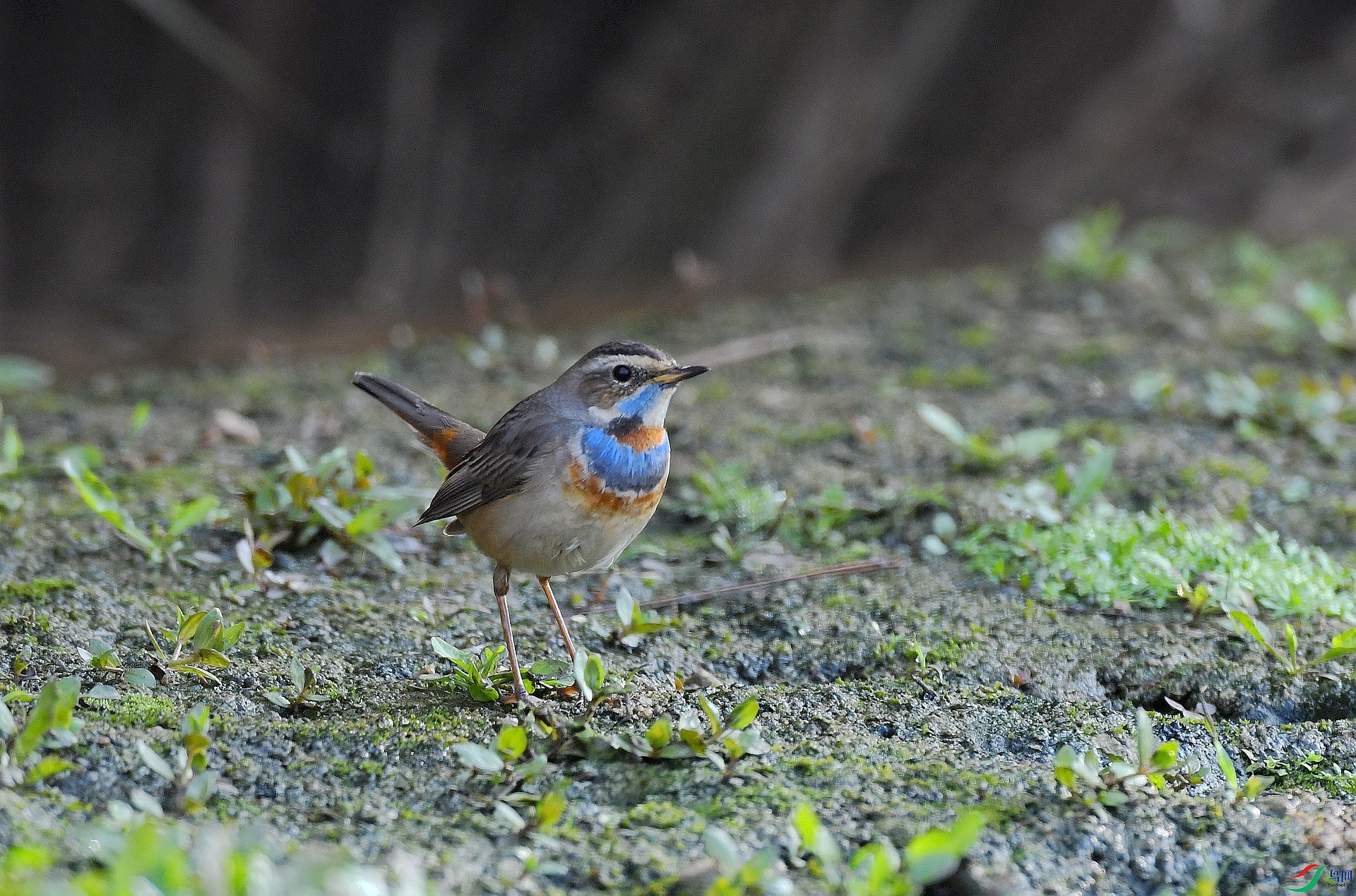 DSC_9442.jpg