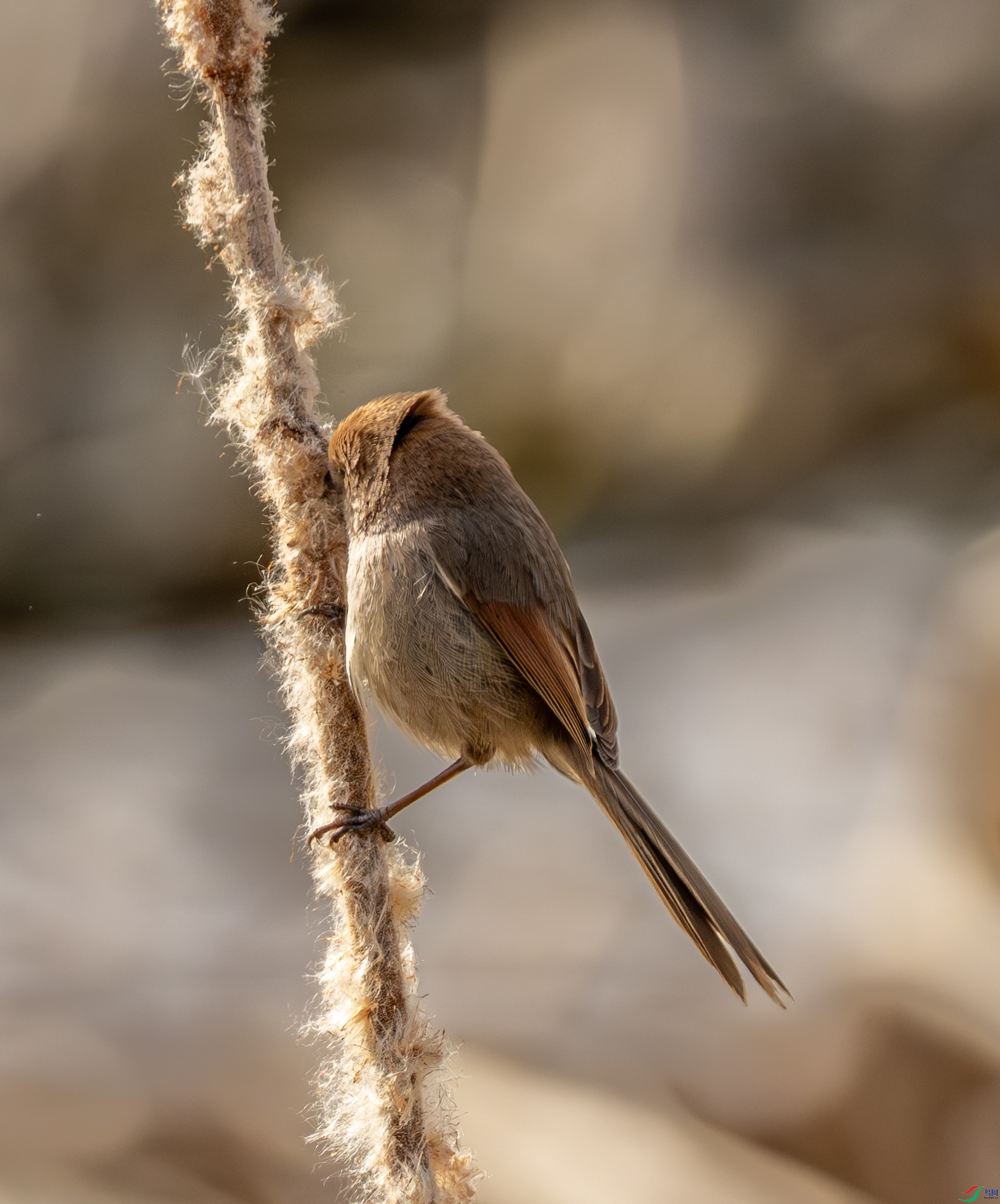 ��ͷѻȸ-01 (1 - 16).jpg