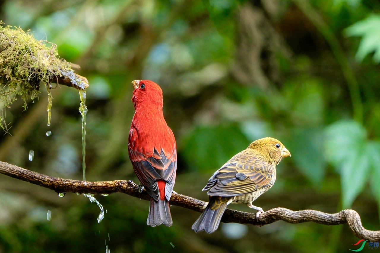 DSC07155-����ǿ ����.jpeg