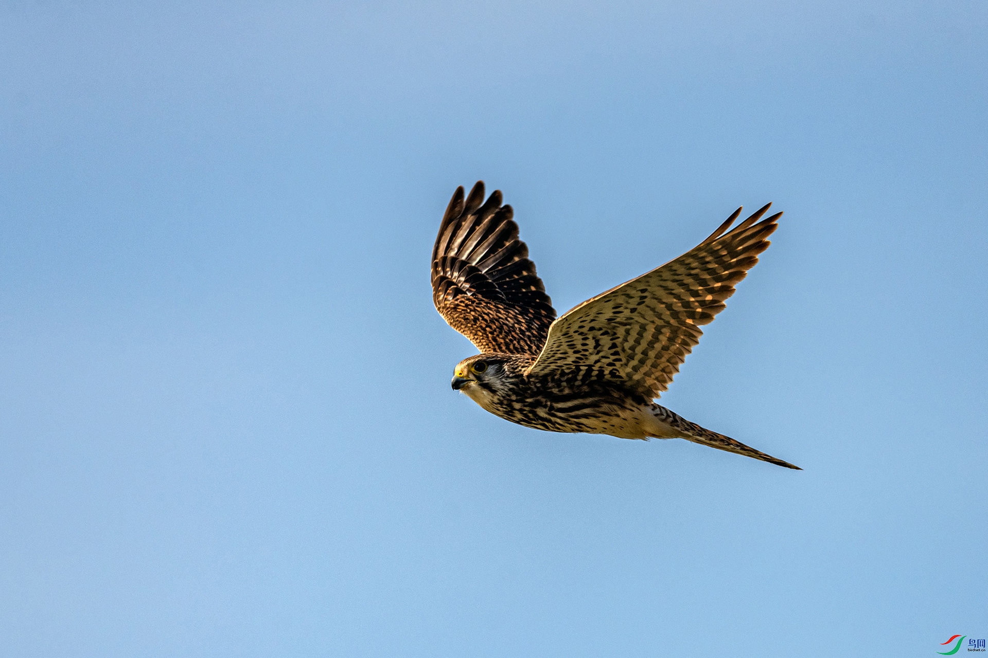 _AUU6633�t��(26.2.1).jpg
