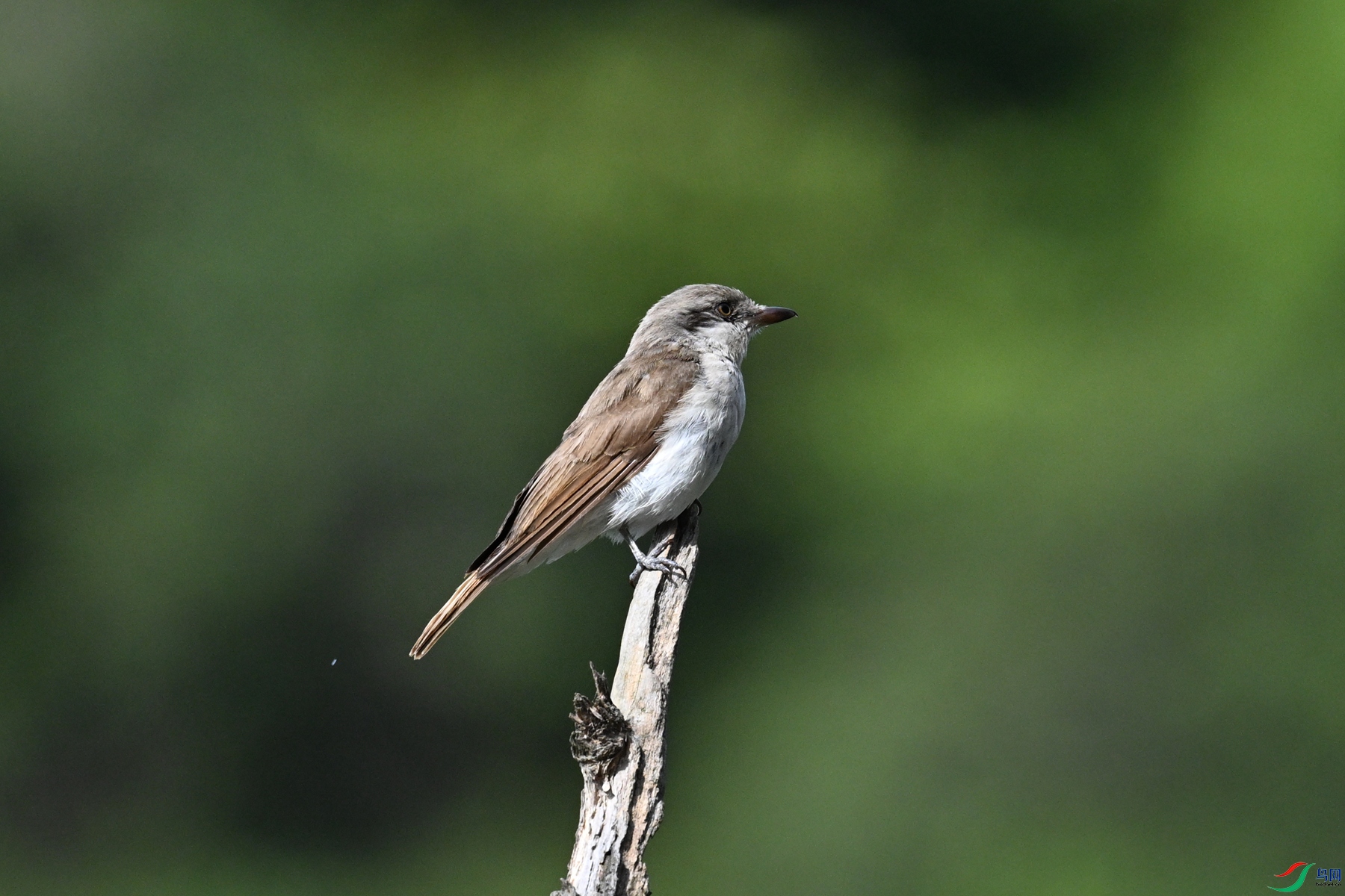 DSC_2035.JPG