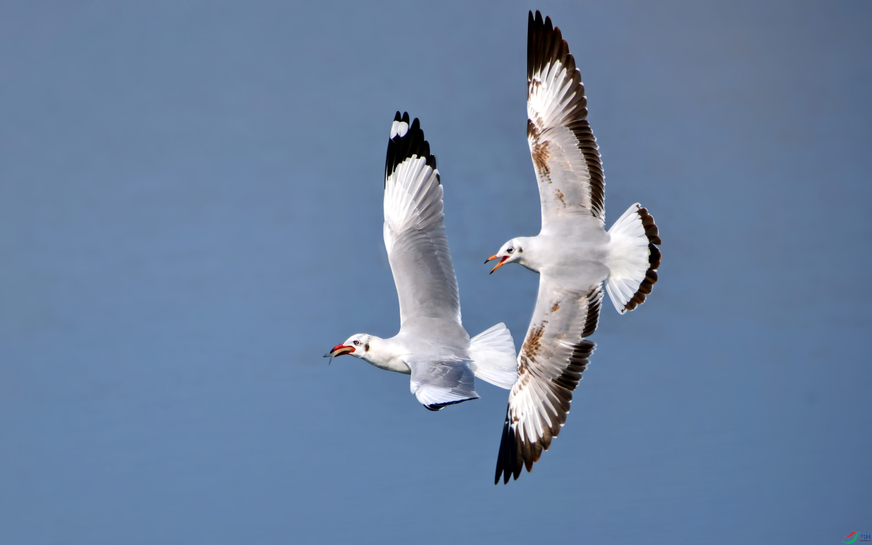 DSC_8692_conew4.jpg