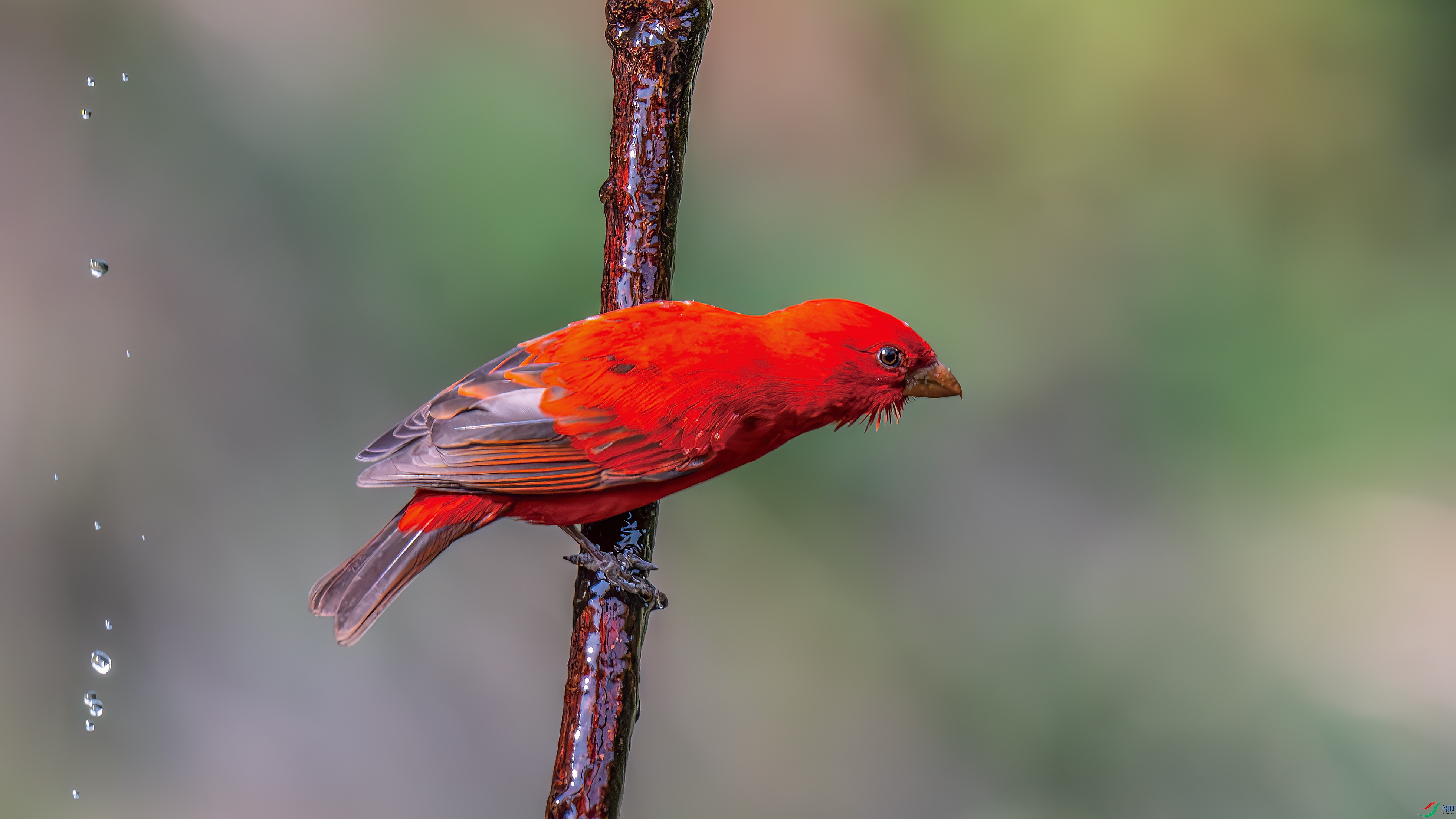 DSC_8429.jpg