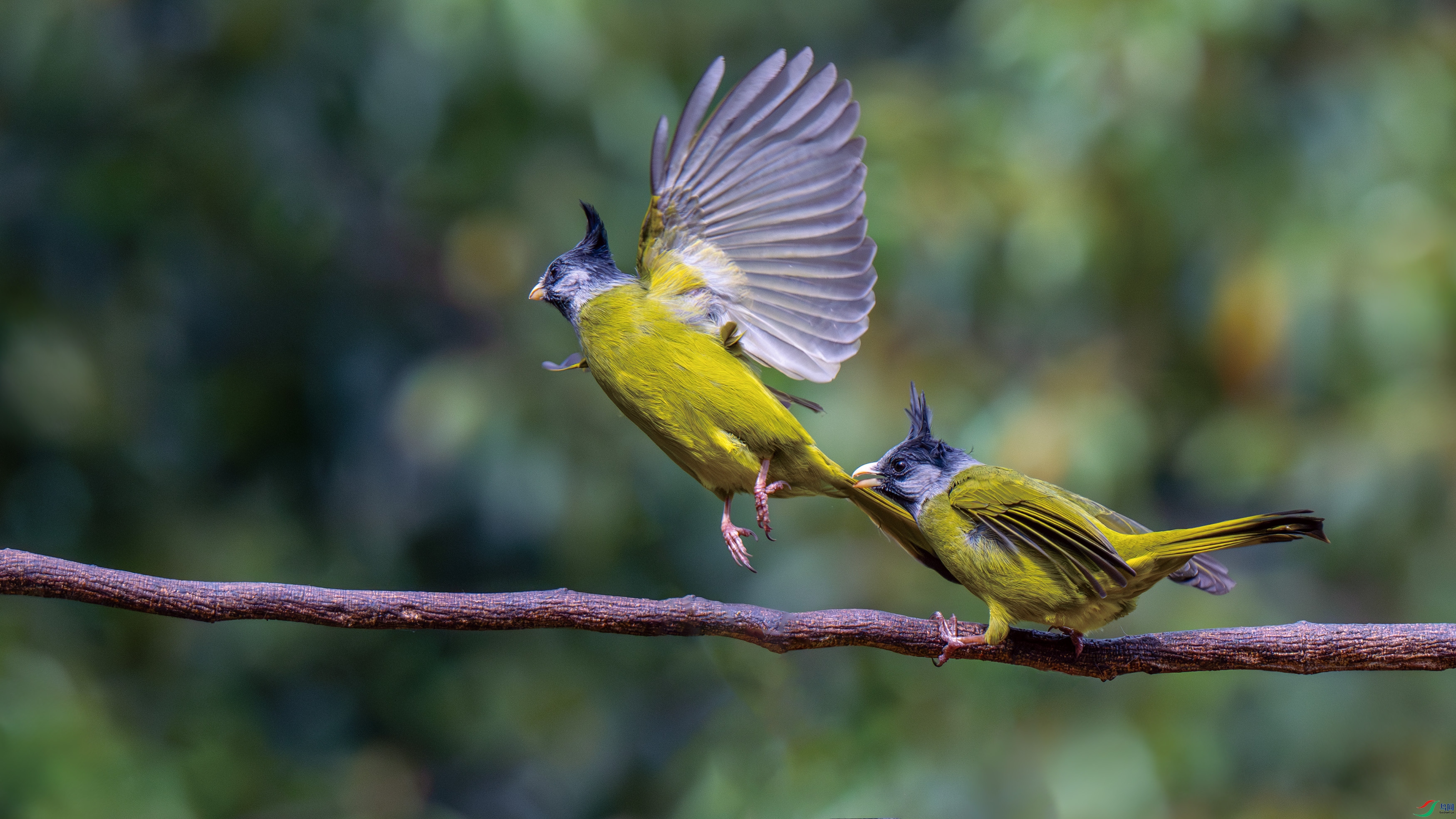 DSC_9623.jpg
