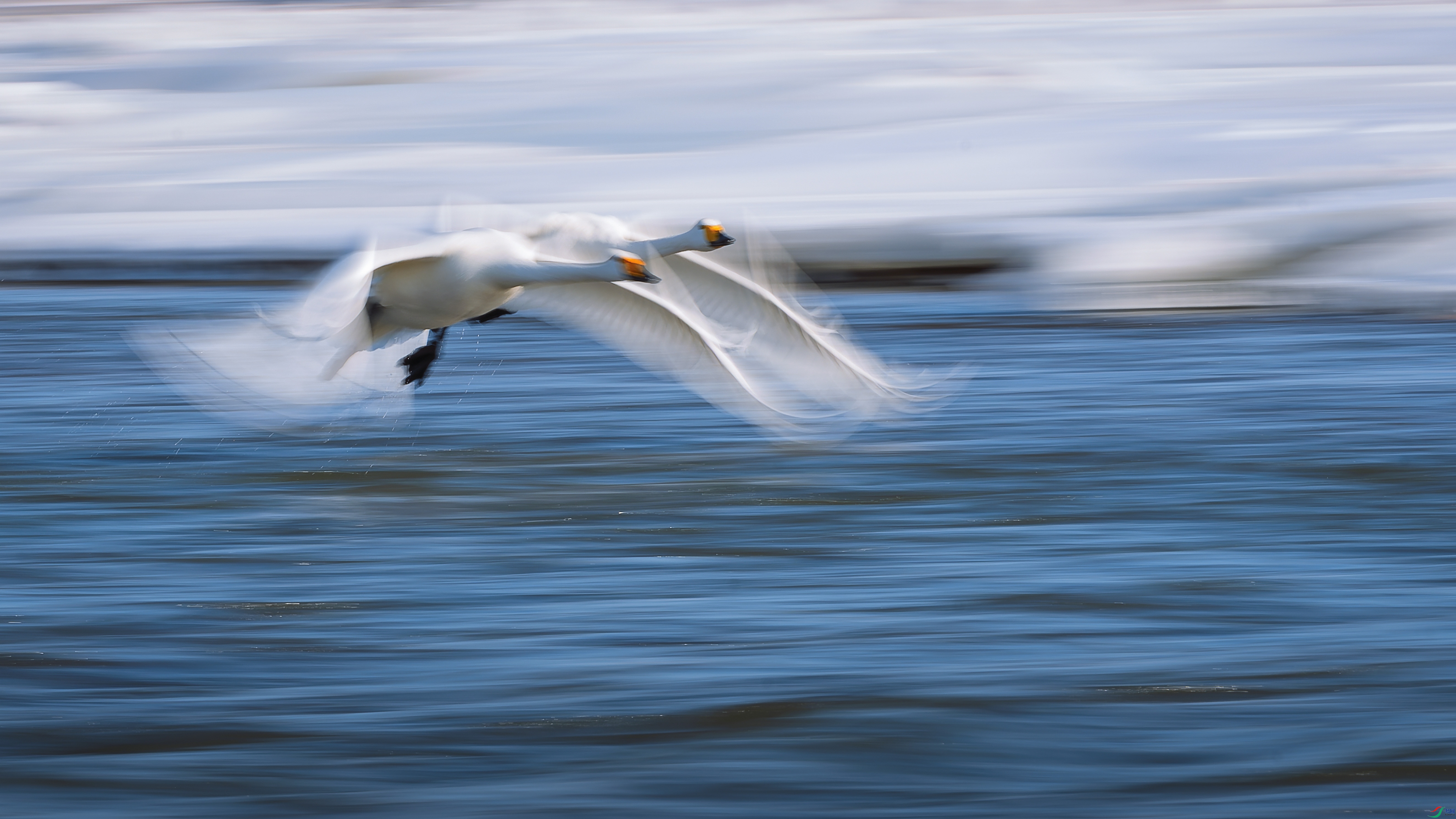 ����ɫ��������