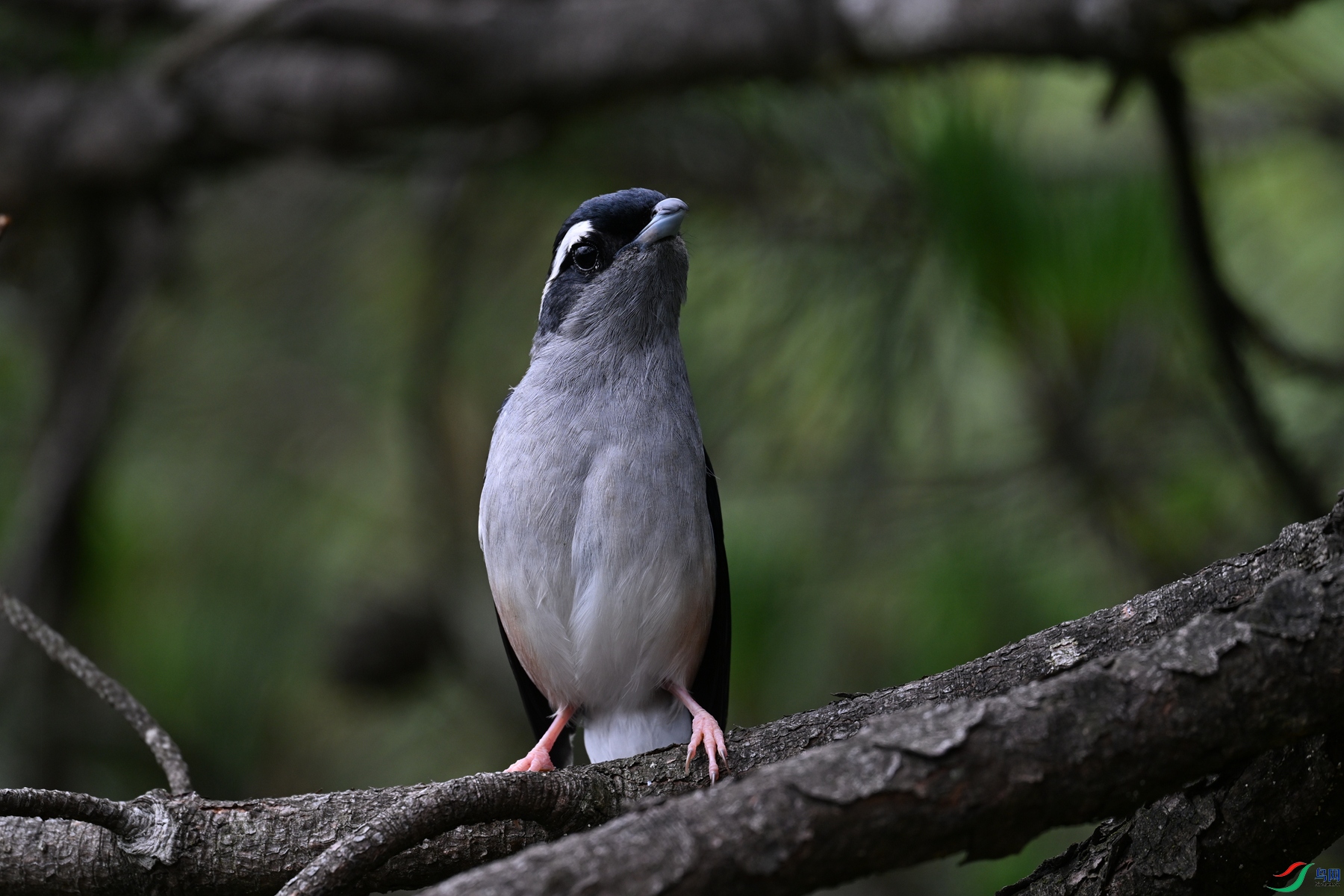 DSC_1092.JPG
