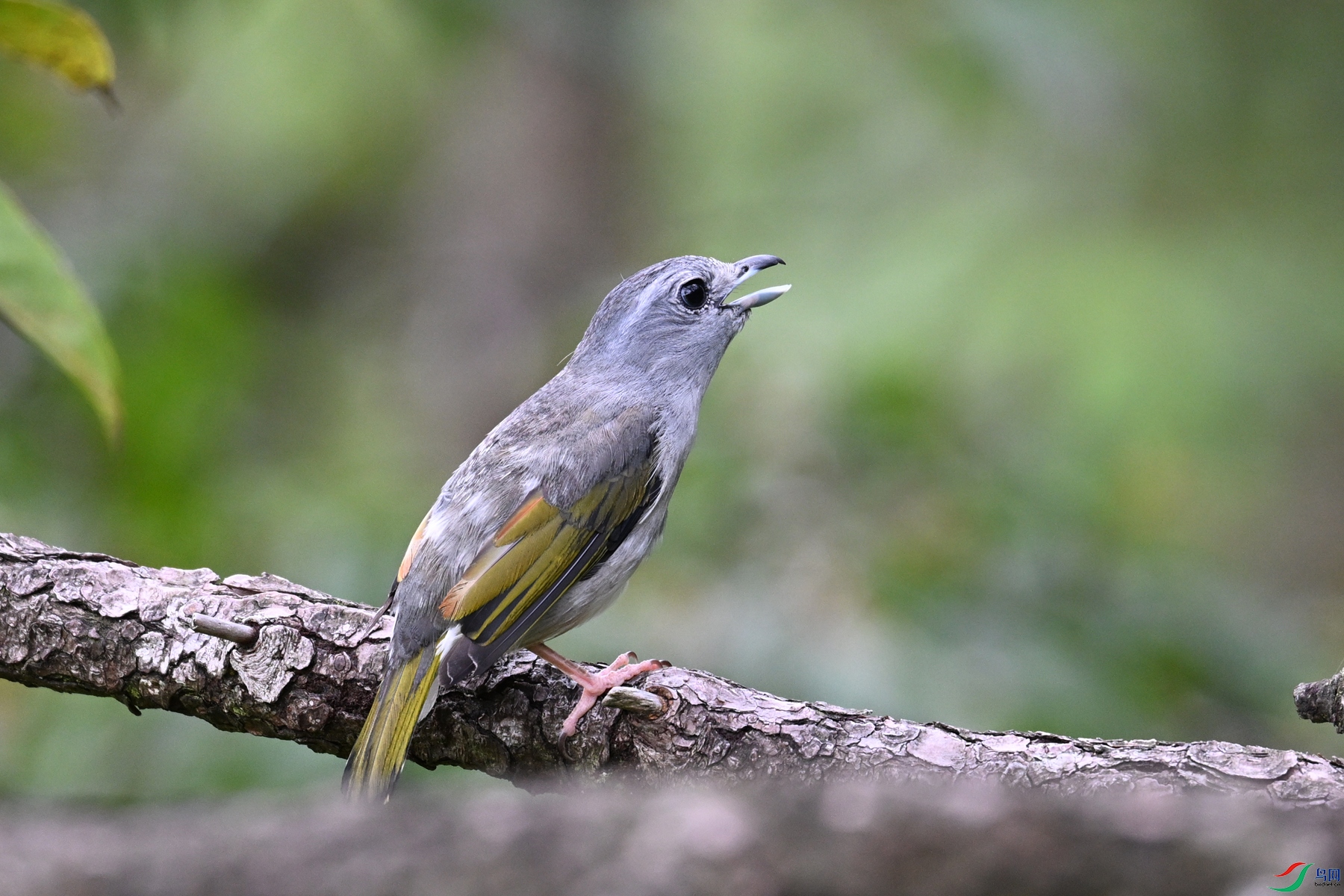 DSC_1048.JPG