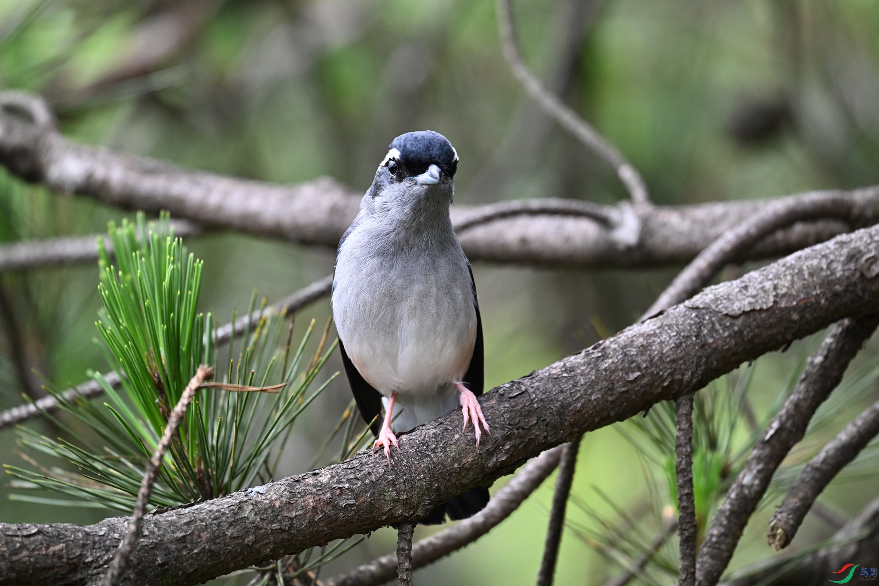 DSC_1115.JPG