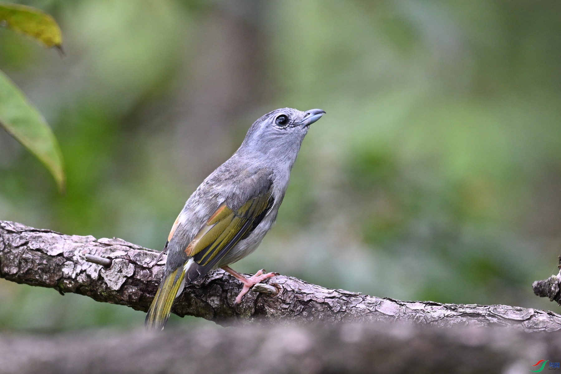 DSC_1051.JPG