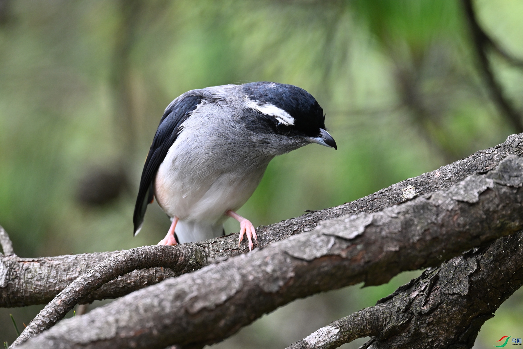 DSC_1098.JPG