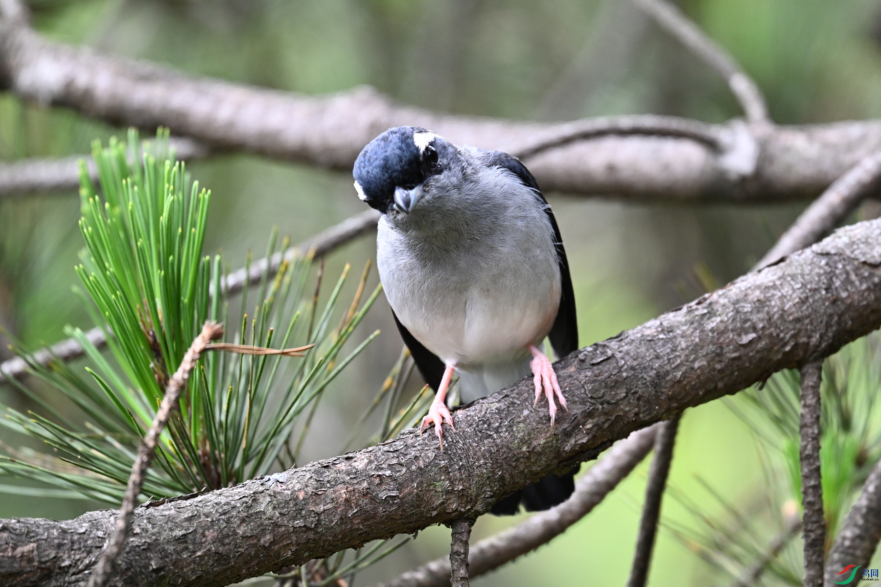 DSC_1121.JPG