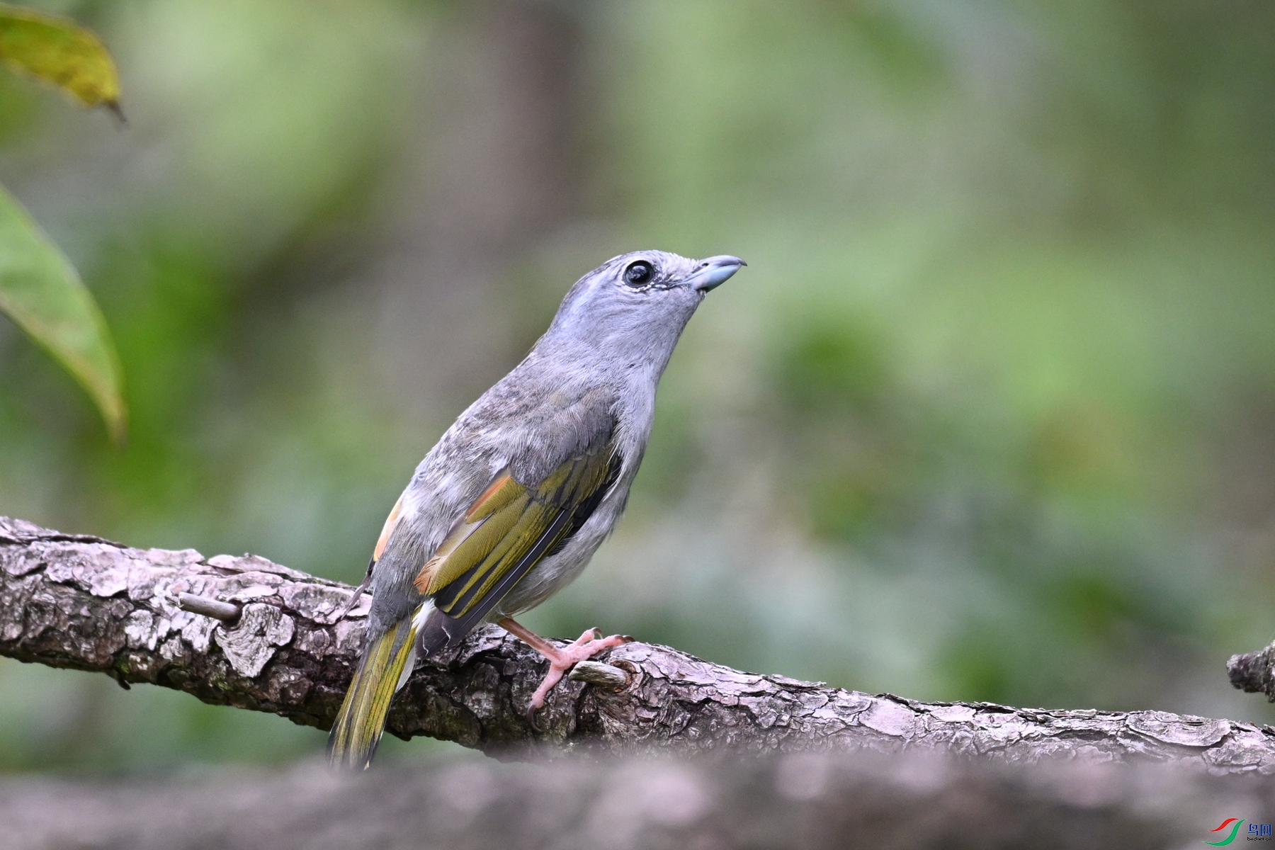 DSC_1055.JPG