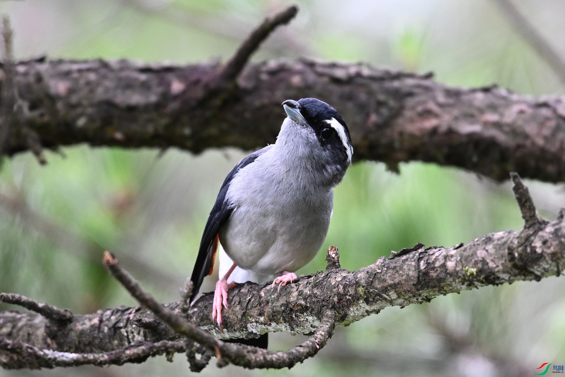 DSC_1061.JPG
